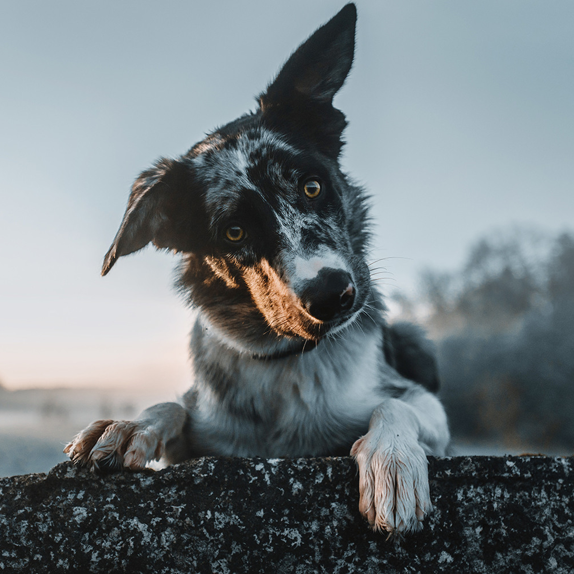 Наталья и Уран. Фотограф Анна Тюрина