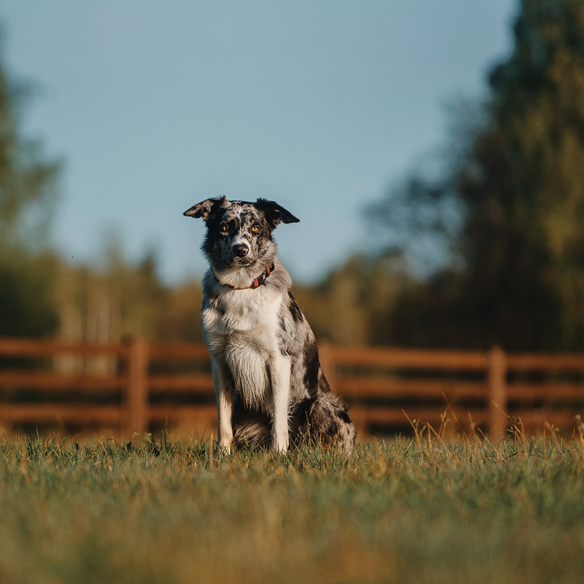 Наталья и Уран. Фотограф Анна Тюрина