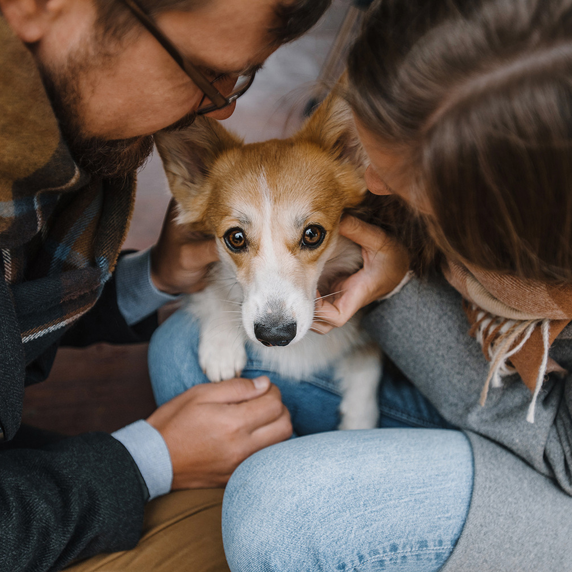 Катя, Саша и корги Люси. Фотограф Анна Тюрина