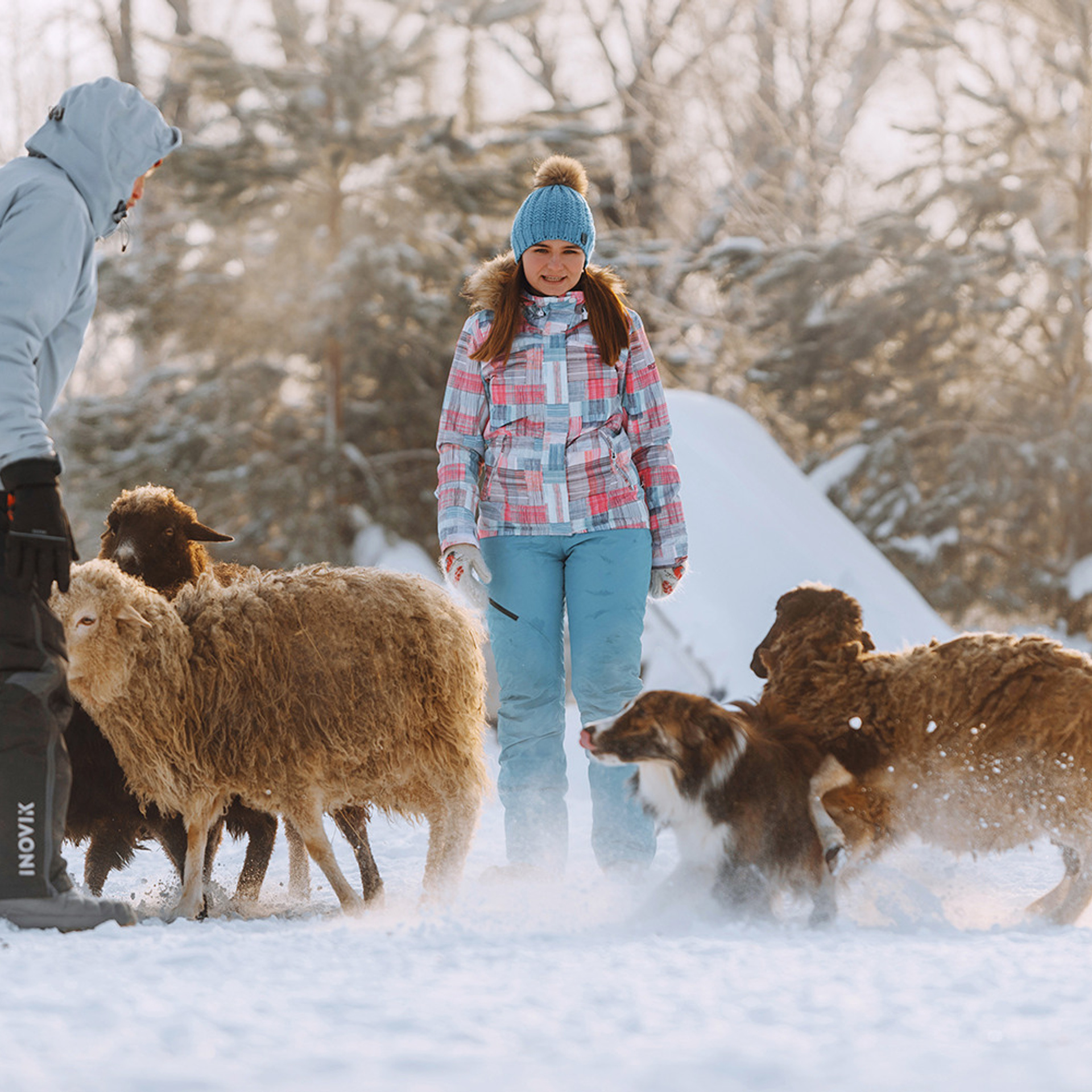 Пастьба в феврале. Фотограф Анна Тюрина
