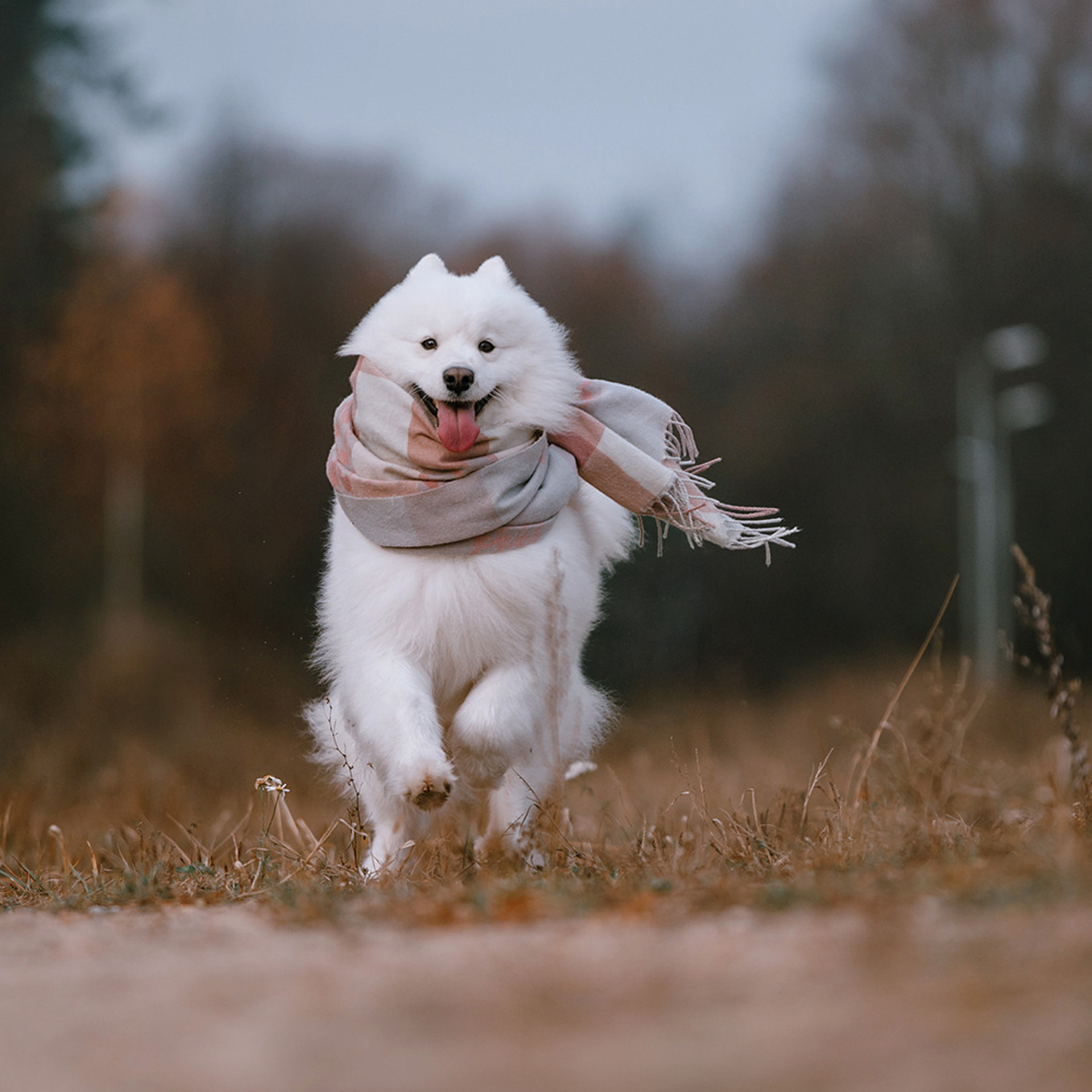 Елена и Эльза. Фотограф Анна Тюрина