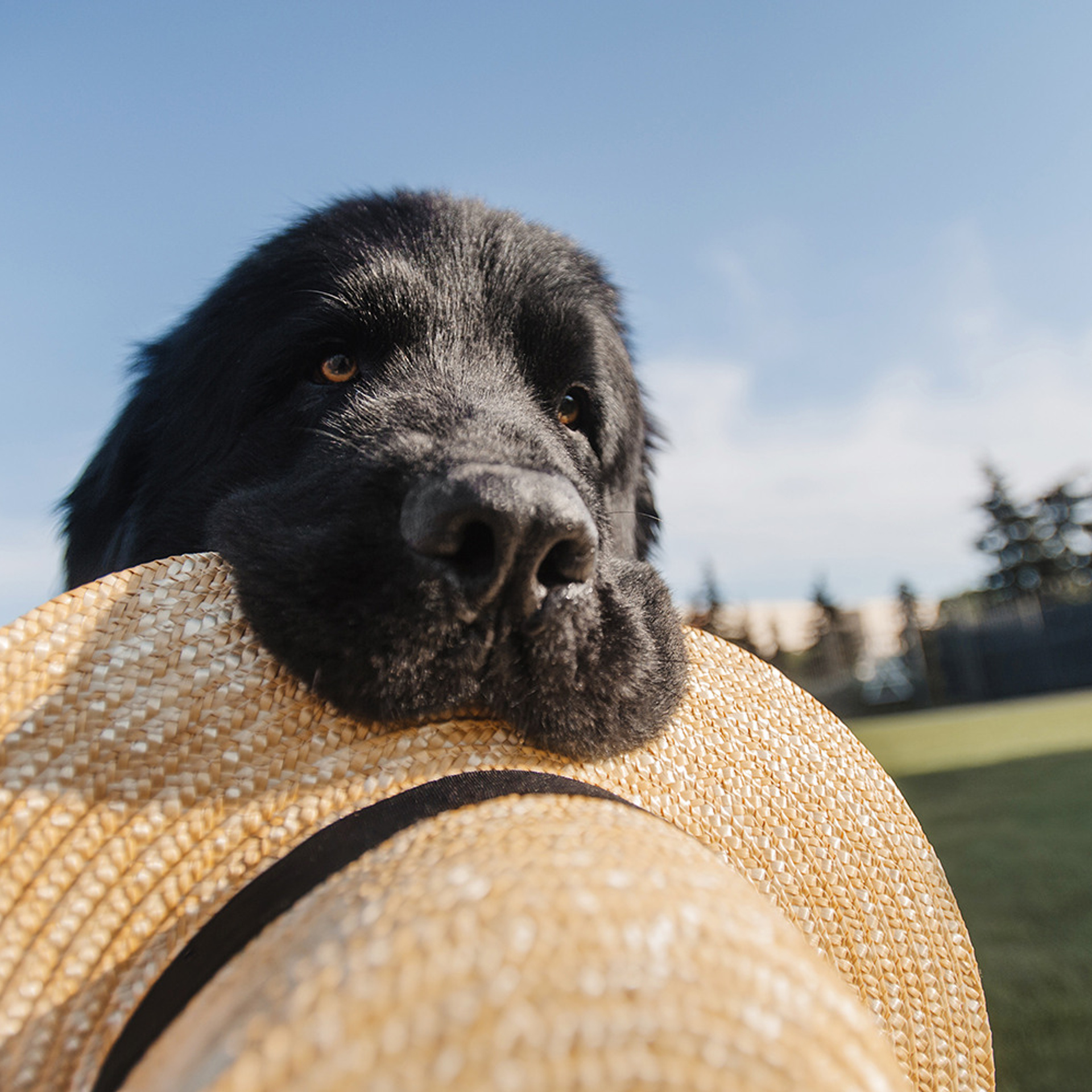 Виктория и Дейл. Фотограф Анна Тюрина