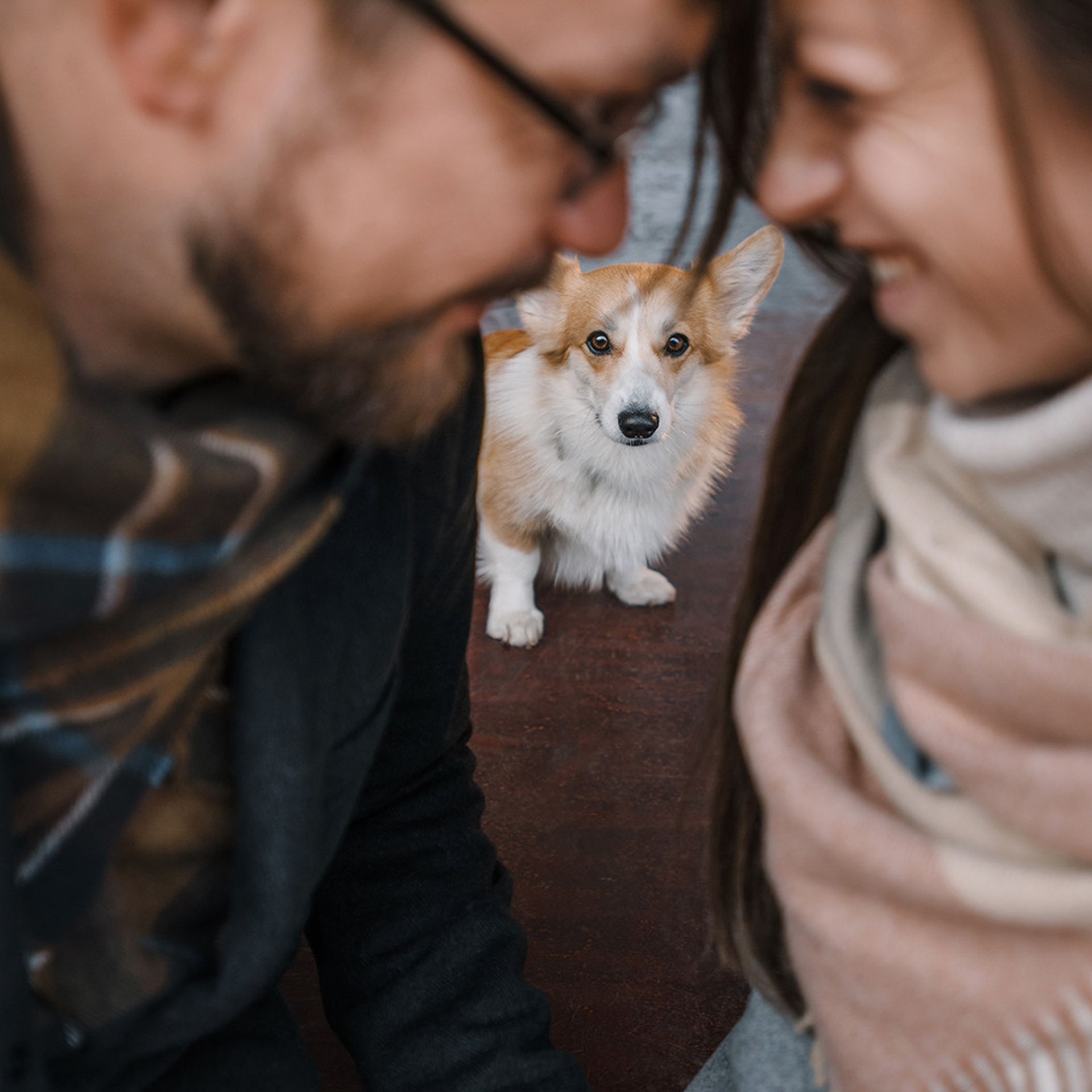 Катя, Саша и корги Люси. Фотограф Анна Тюрина