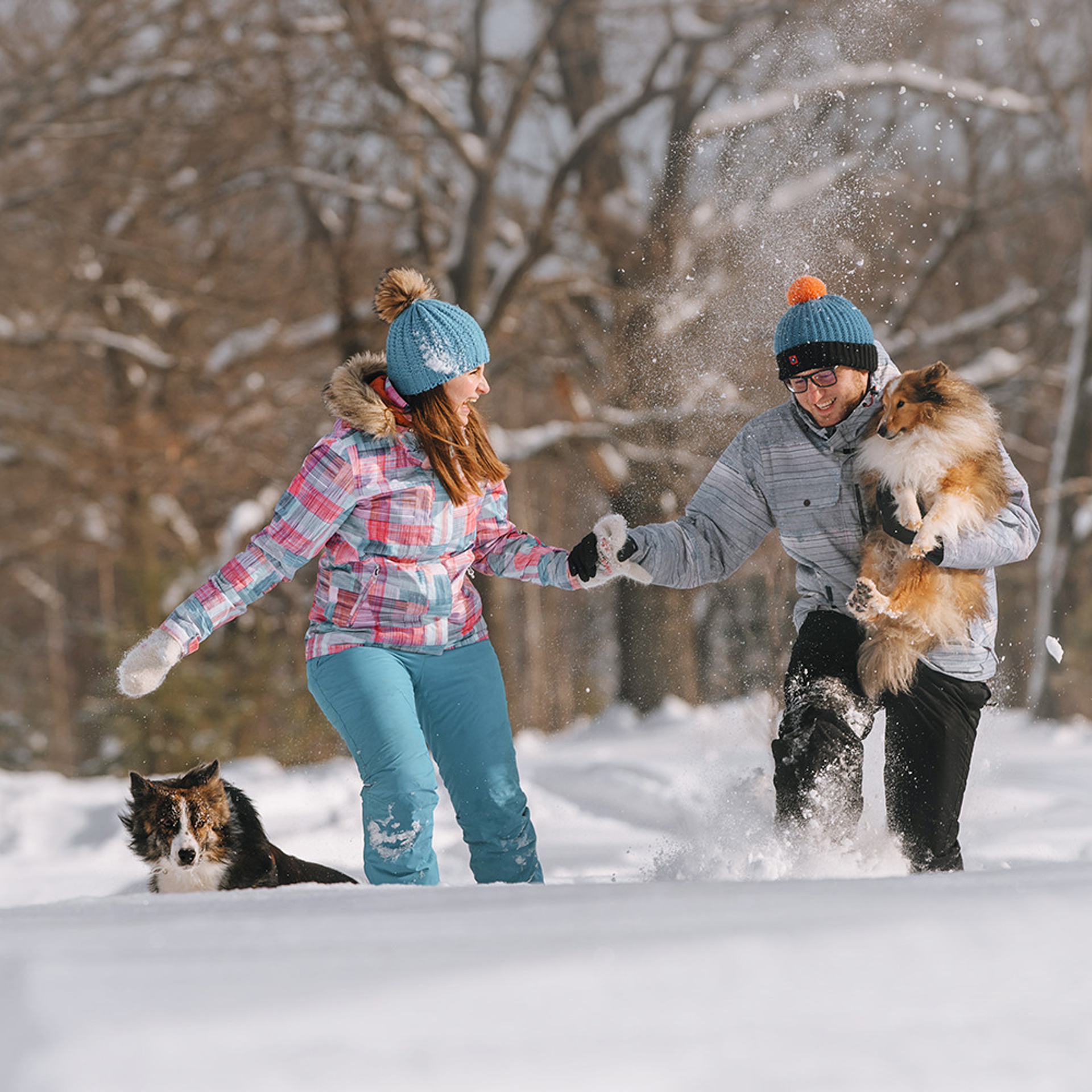 Пастьба в феврале. Фотограф Анна Тюрина