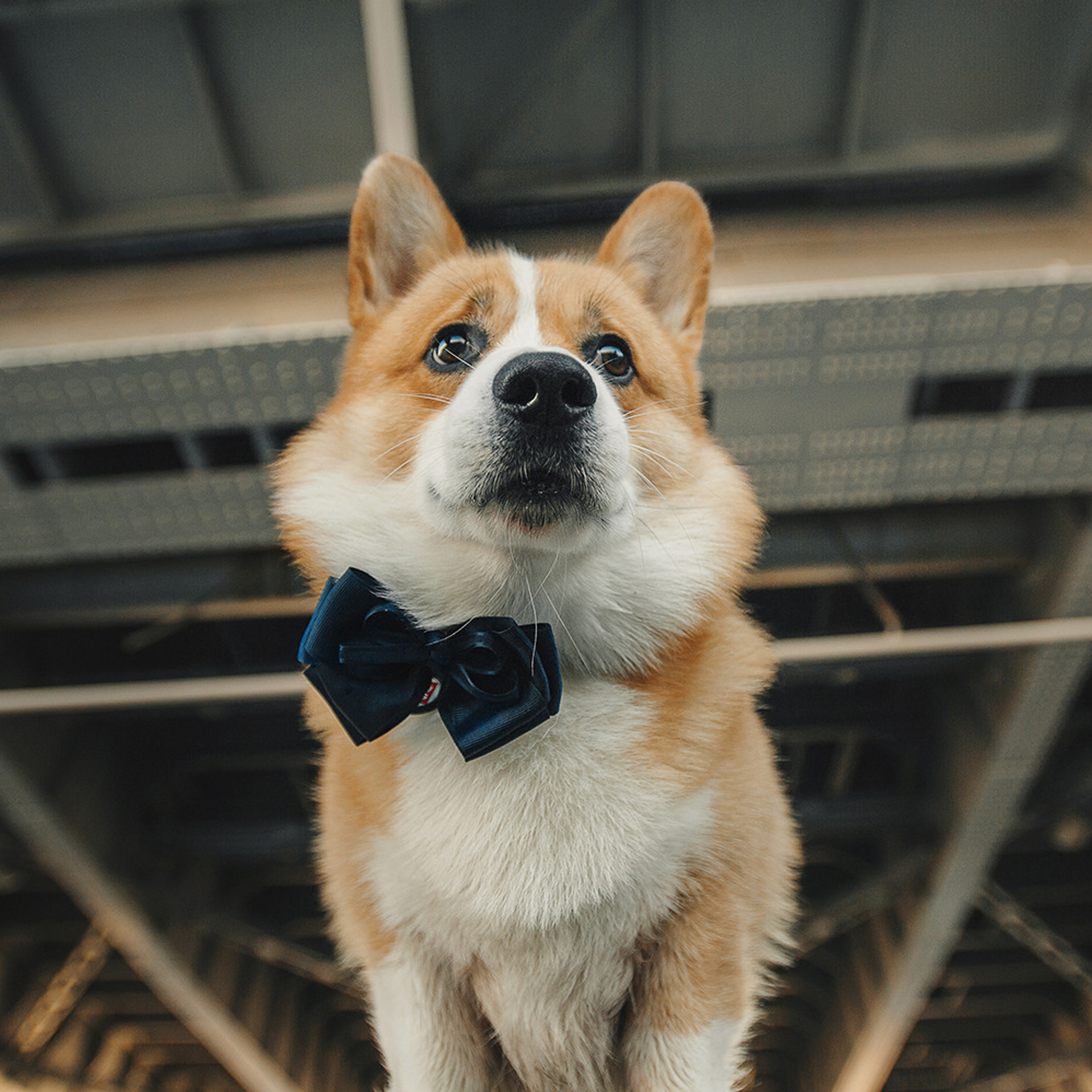 Тим, Ира и Тимур. Фотограф Анна Тюрина