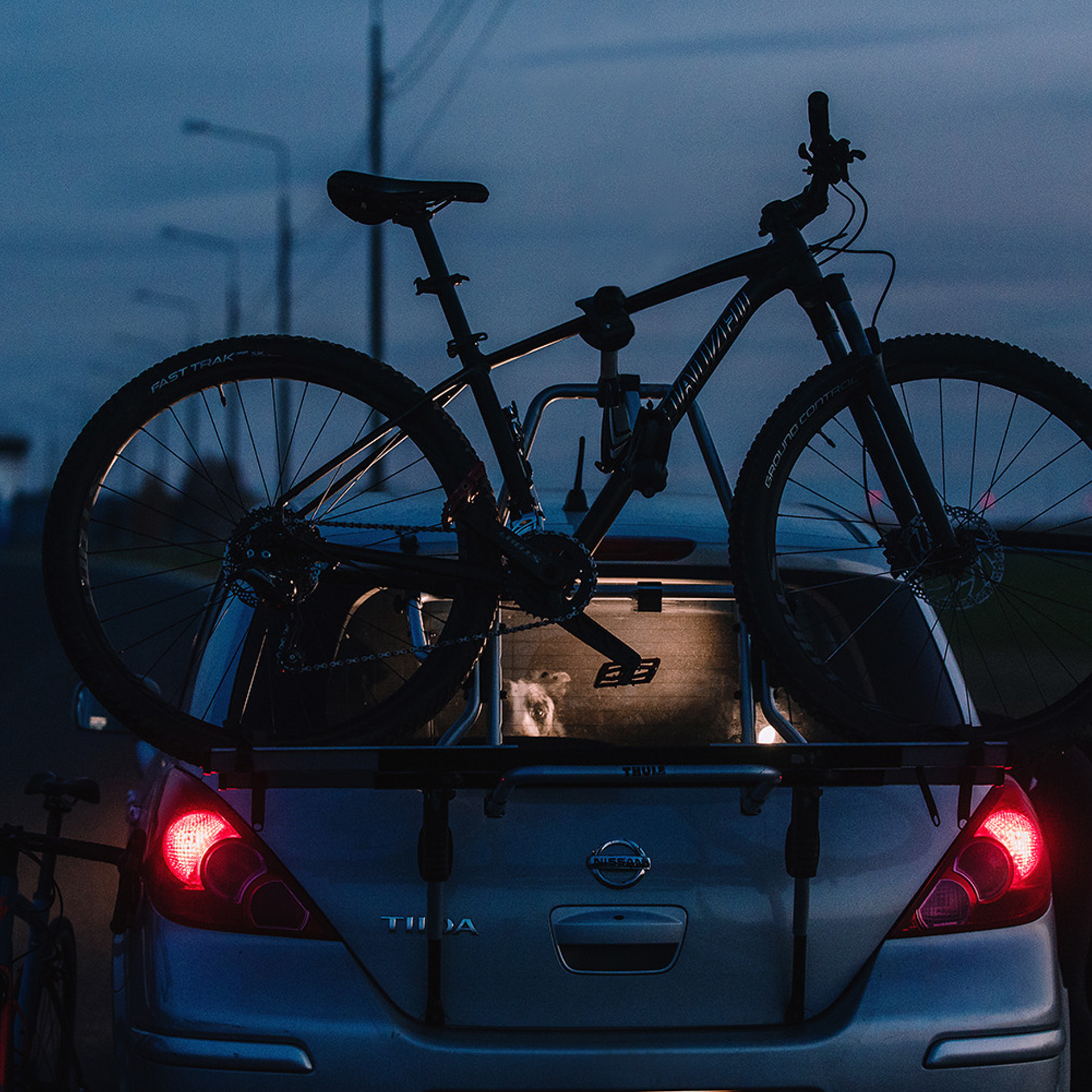 Сева и Кит. Фотограф Анна Тюрина