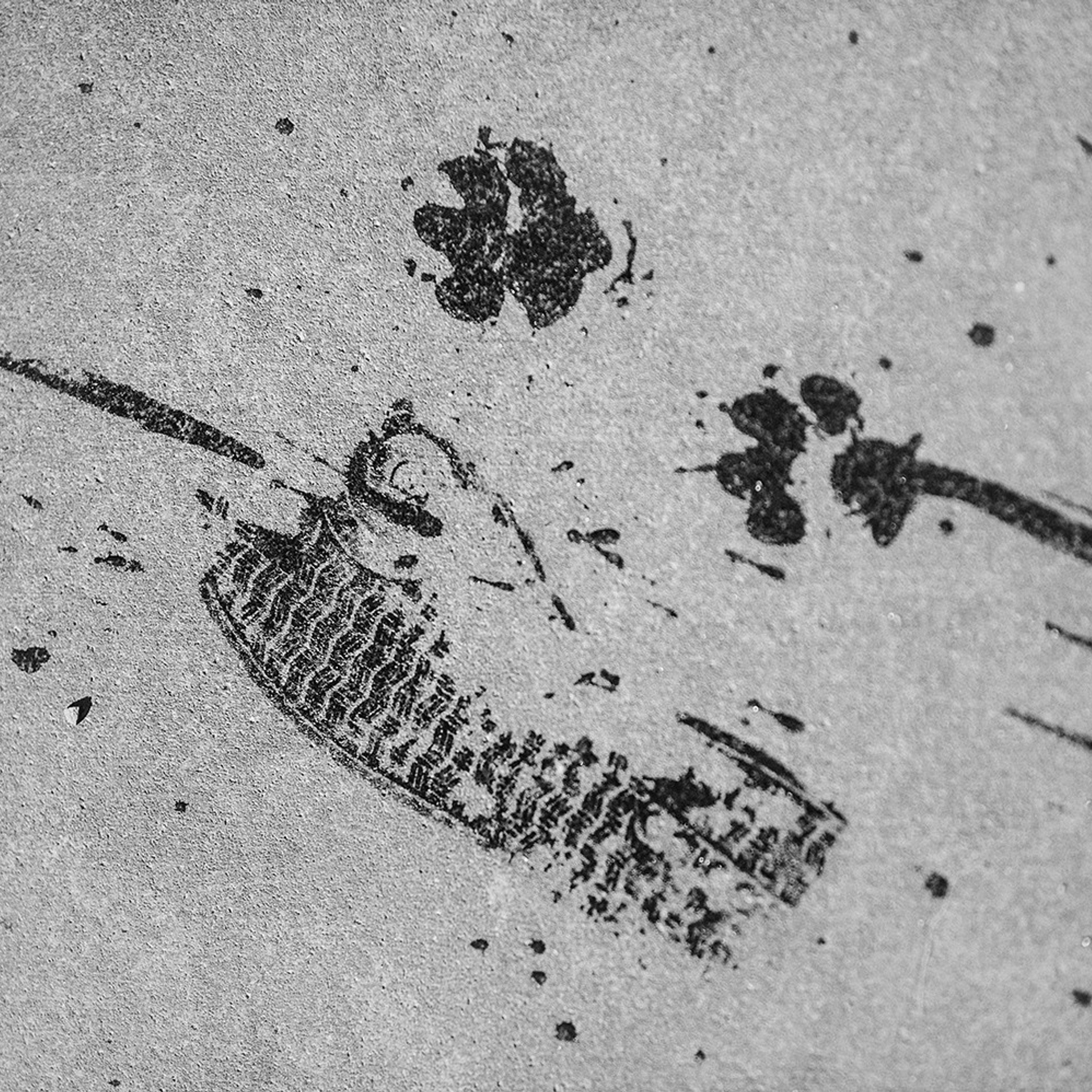 Тим, Ира и Тимур. Фотограф Анна Тюрина