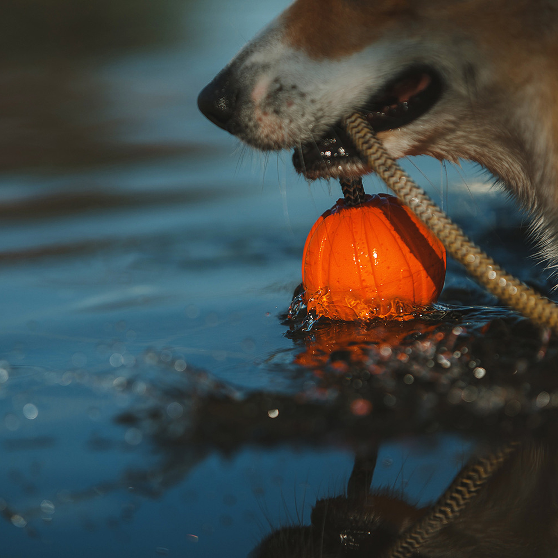 Тим, Ира и Тимур. Фотограф Анна Тюрина