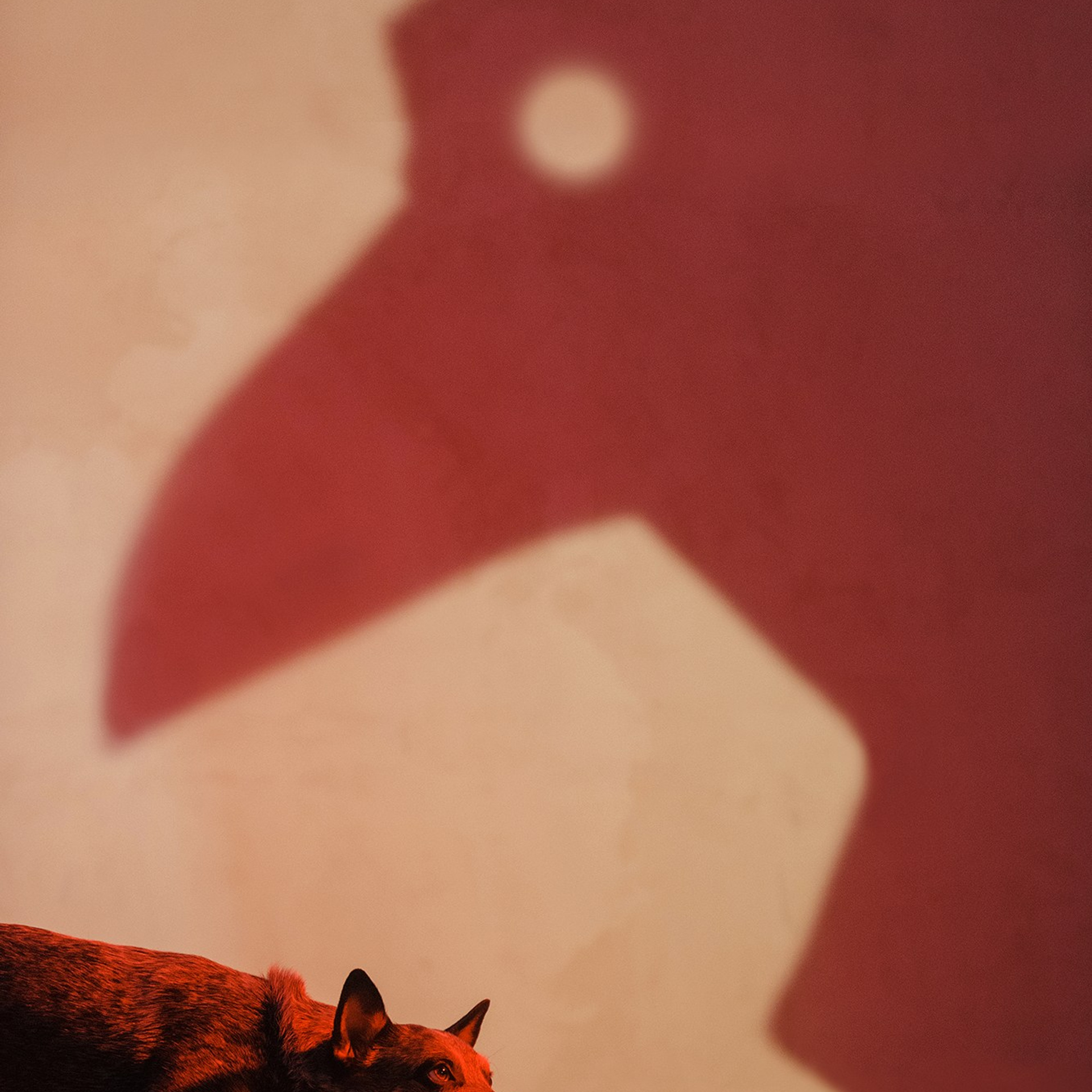 Чистое творчество. Фотограф Анна Тюрина