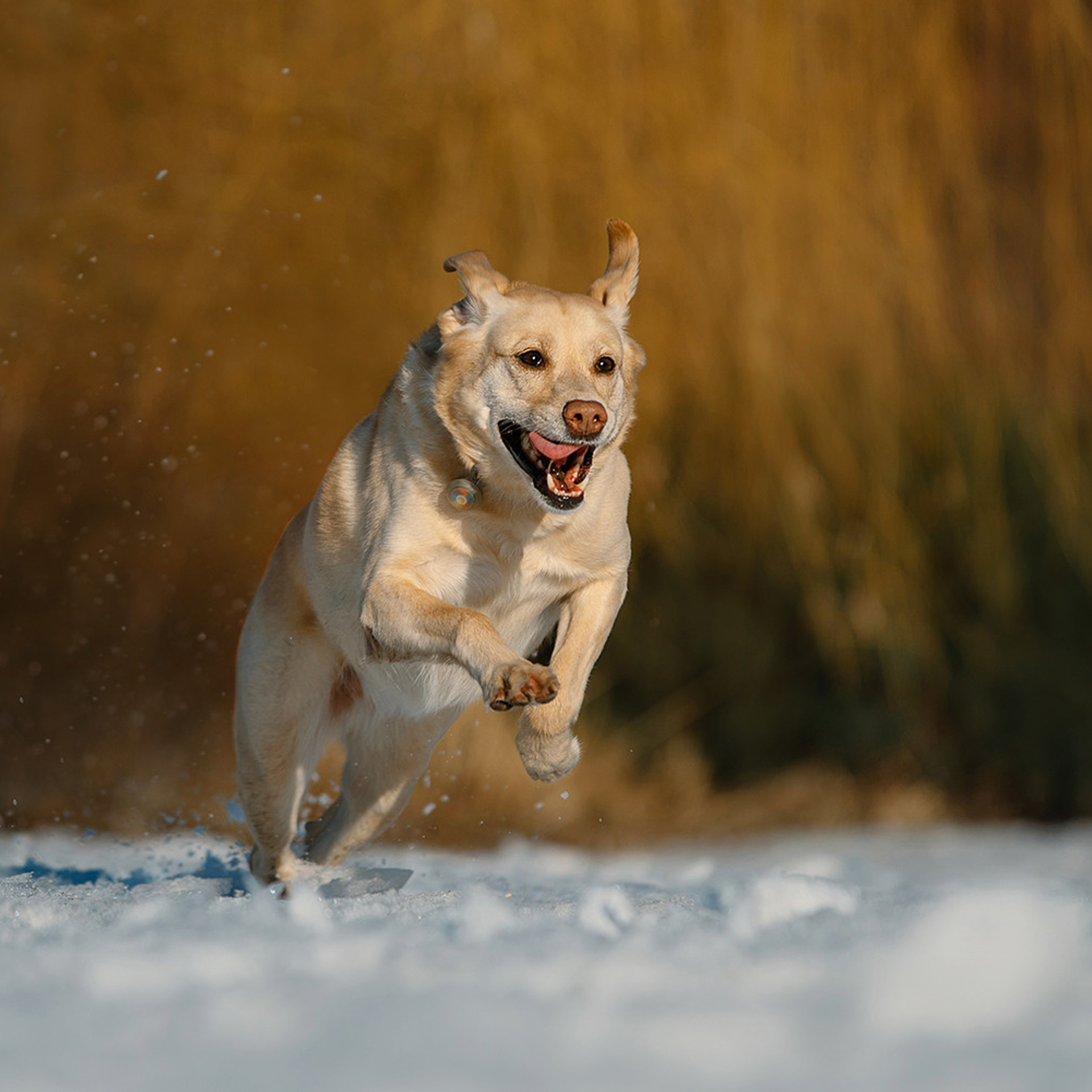 Катя и Фаня. Фотограф Анна Тюрина