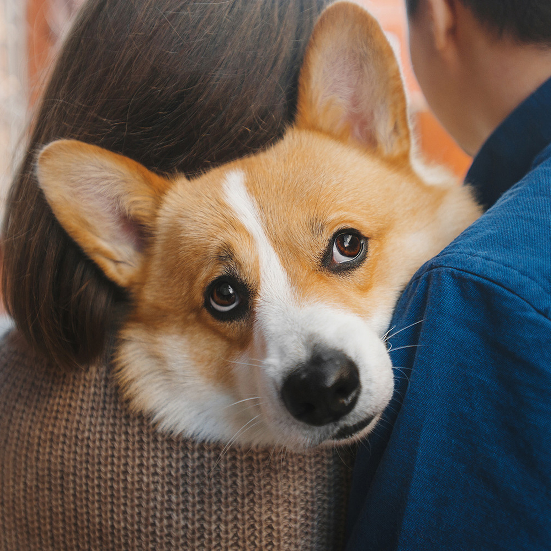 Тим, Ира и Тимур. Фотограф Анна Тюрина