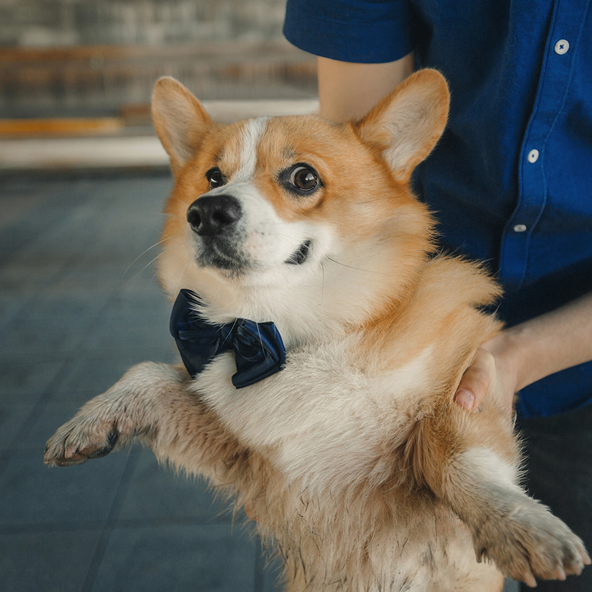 Тим, Ира и Тимур. Фотограф Анна Тюрина