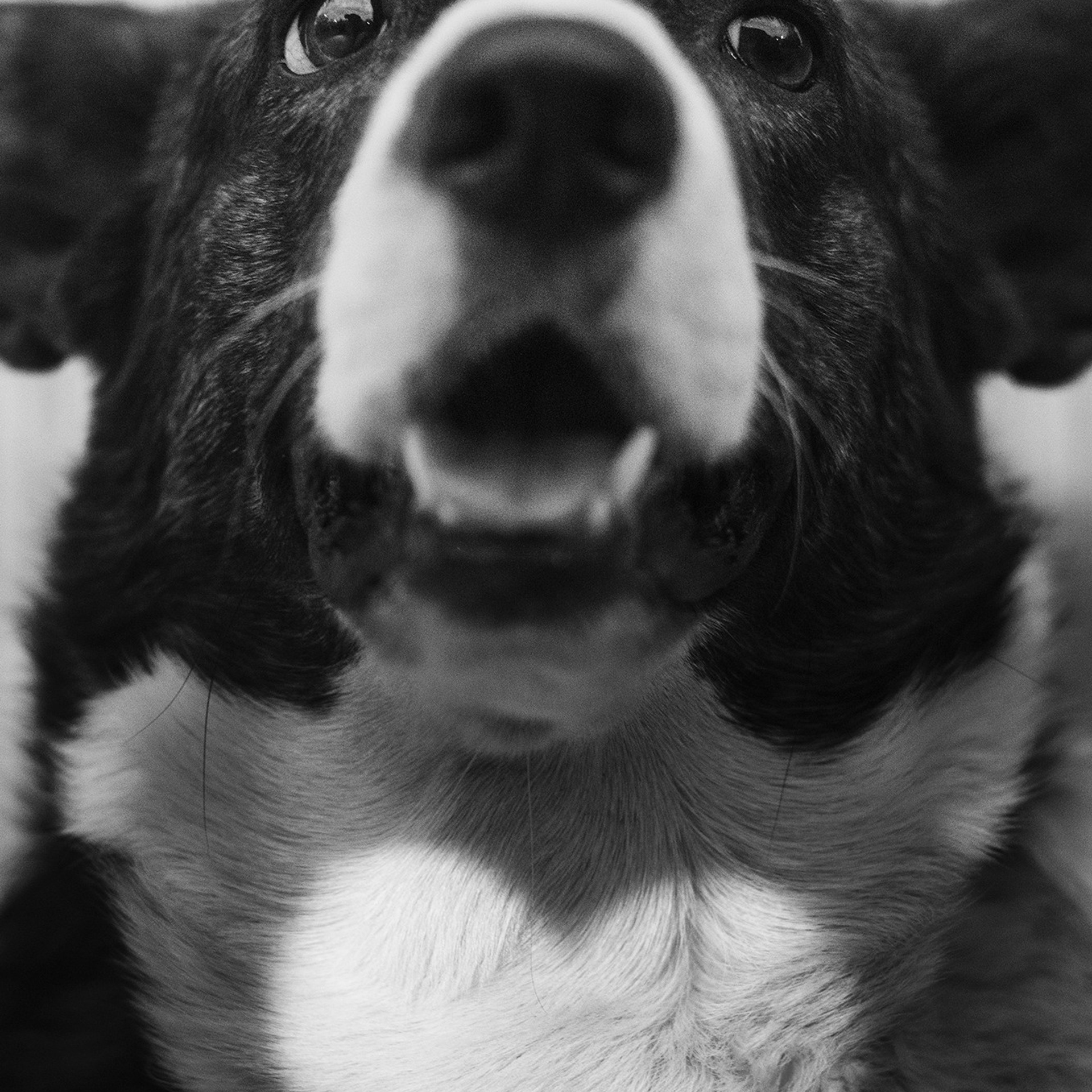 ПОРТФОЛИО. Фотограф Анна Тюрина