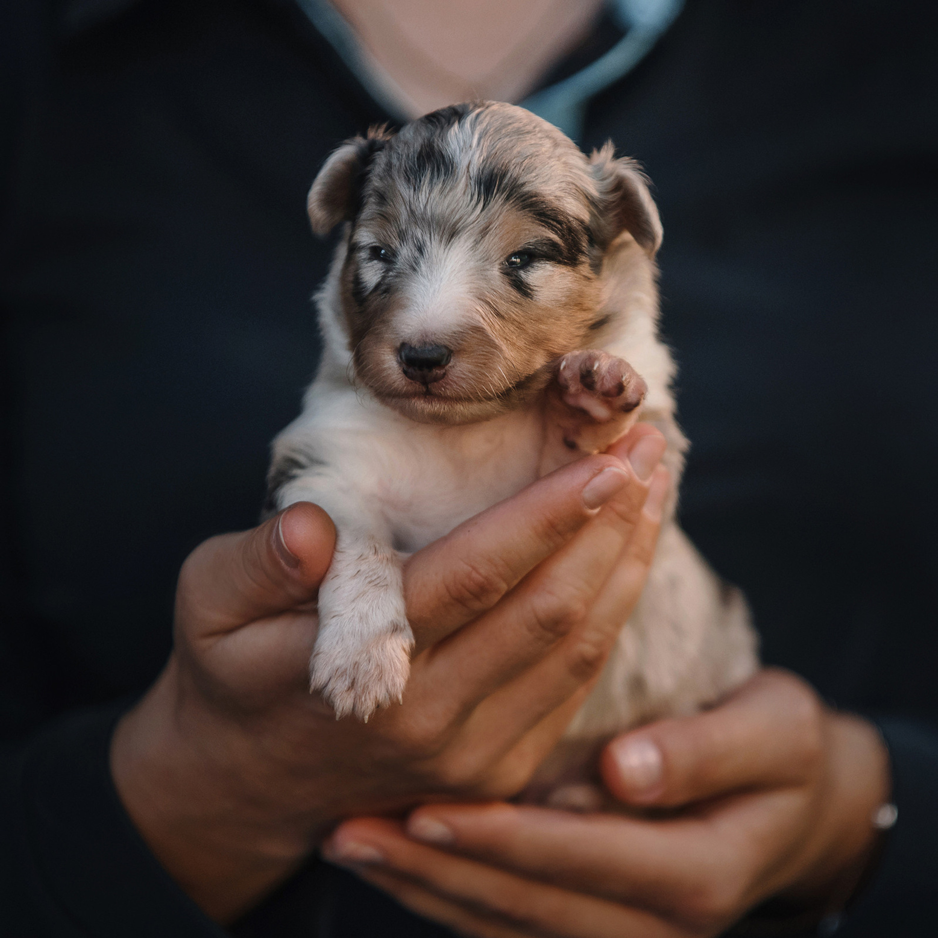 Евгения и семья. Фотограф Анна Тюрина