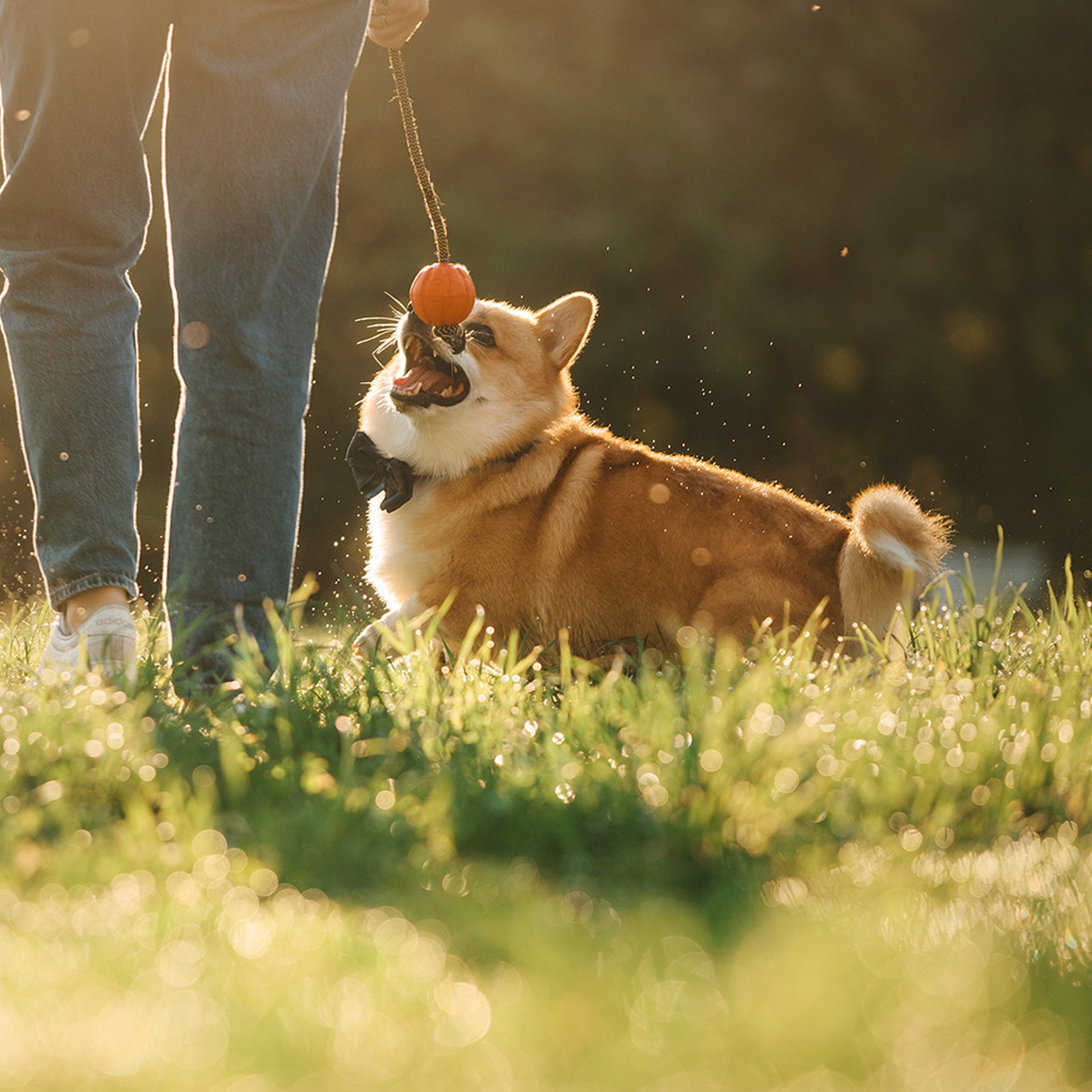 Тим, Ира и Тимур. Фотограф Анна Тюрина
