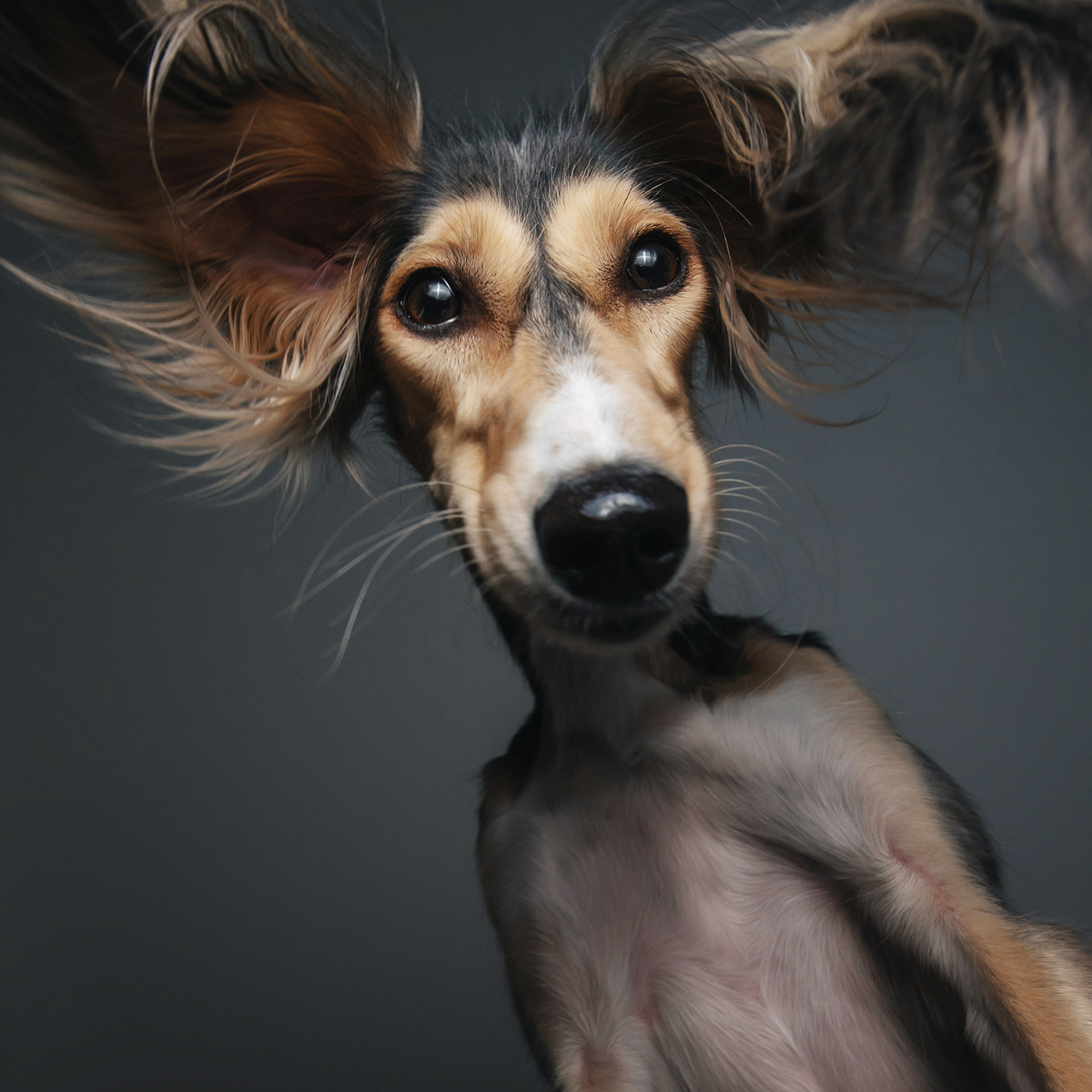 ПОРТФОЛИО. Фотограф Анна Тюрина