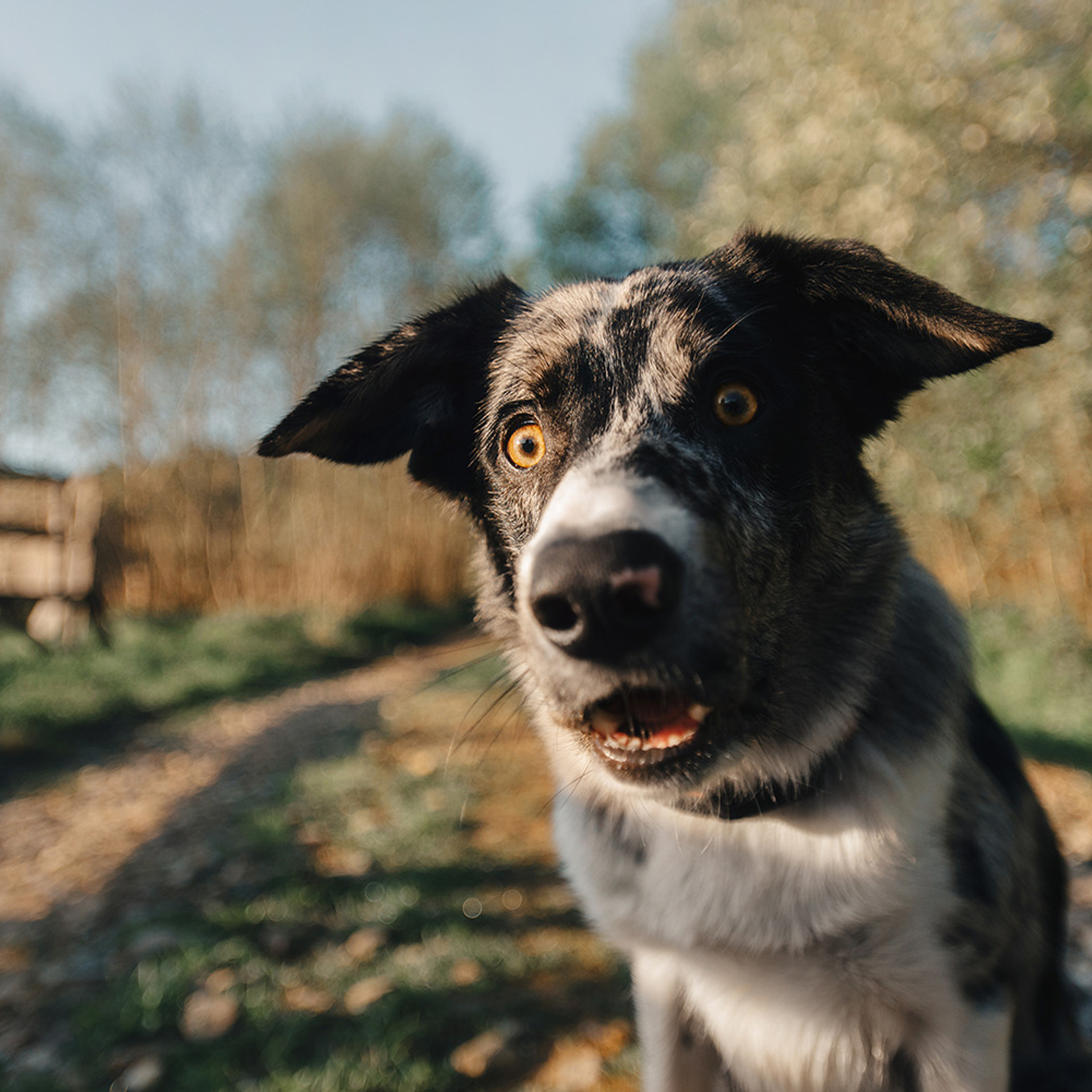 Наталья и Уран. Фотограф Анна Тюрина