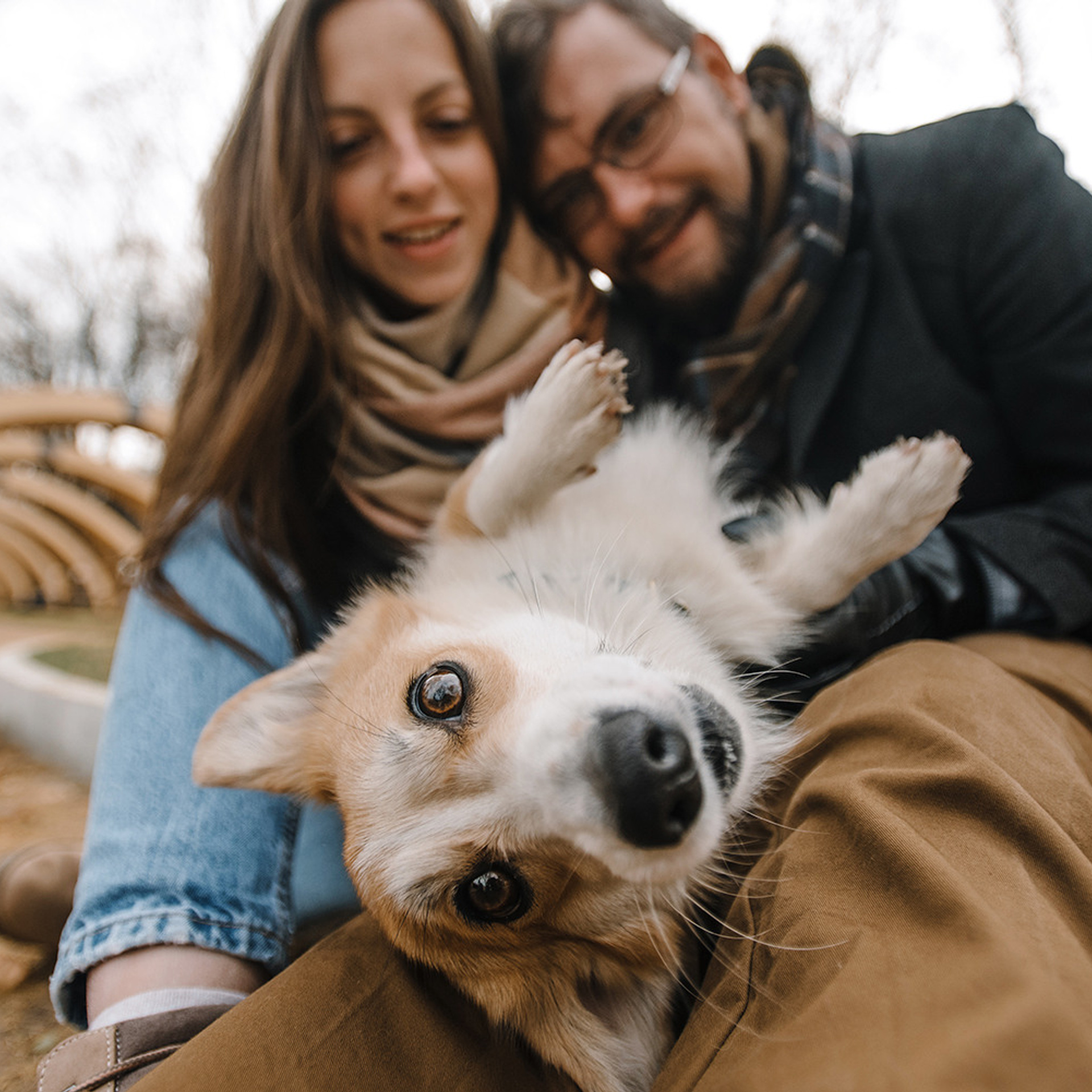 Катя, Саша и корги Люси. Фотограф Анна Тюрина