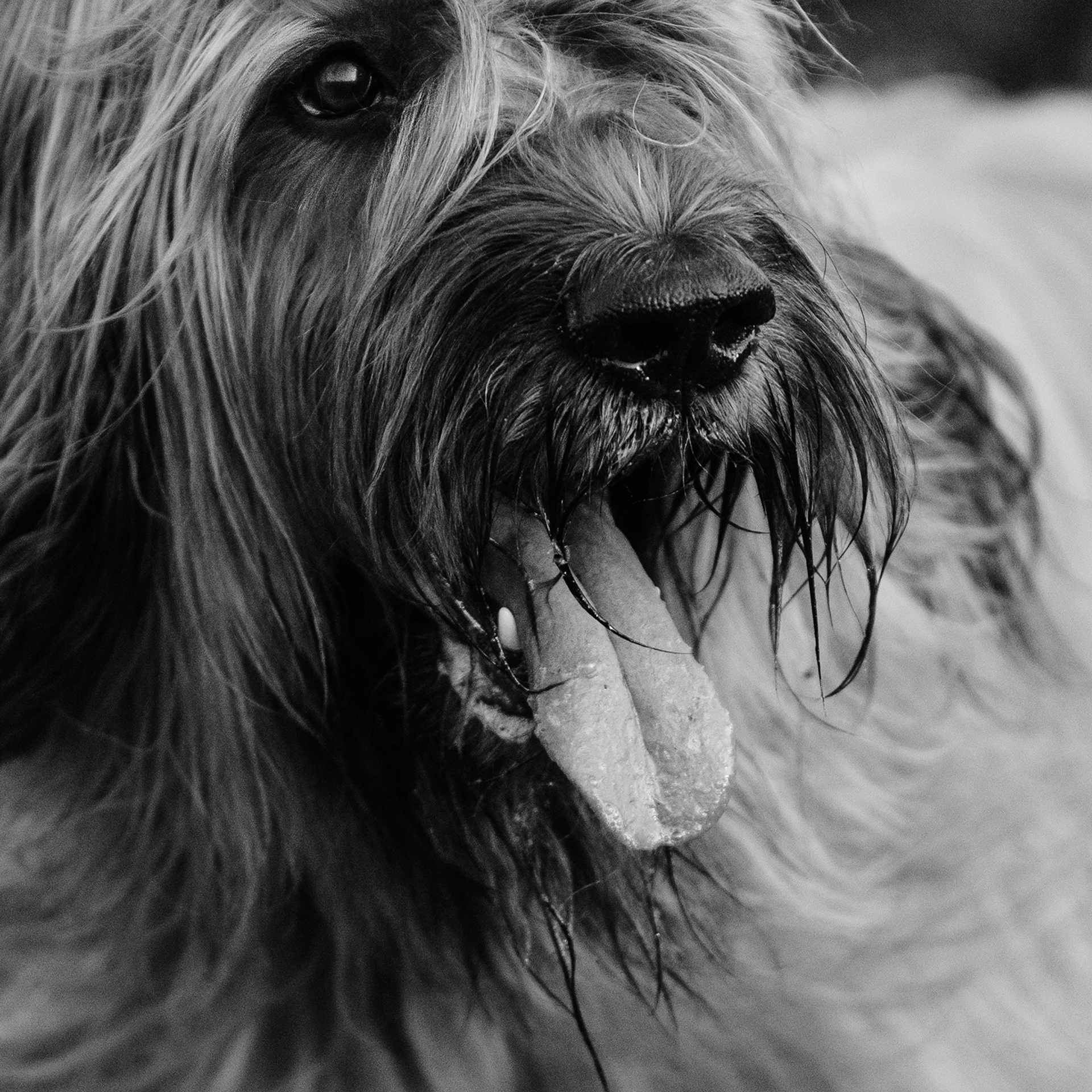 Пастьба. Фотограф Анна Тюрина