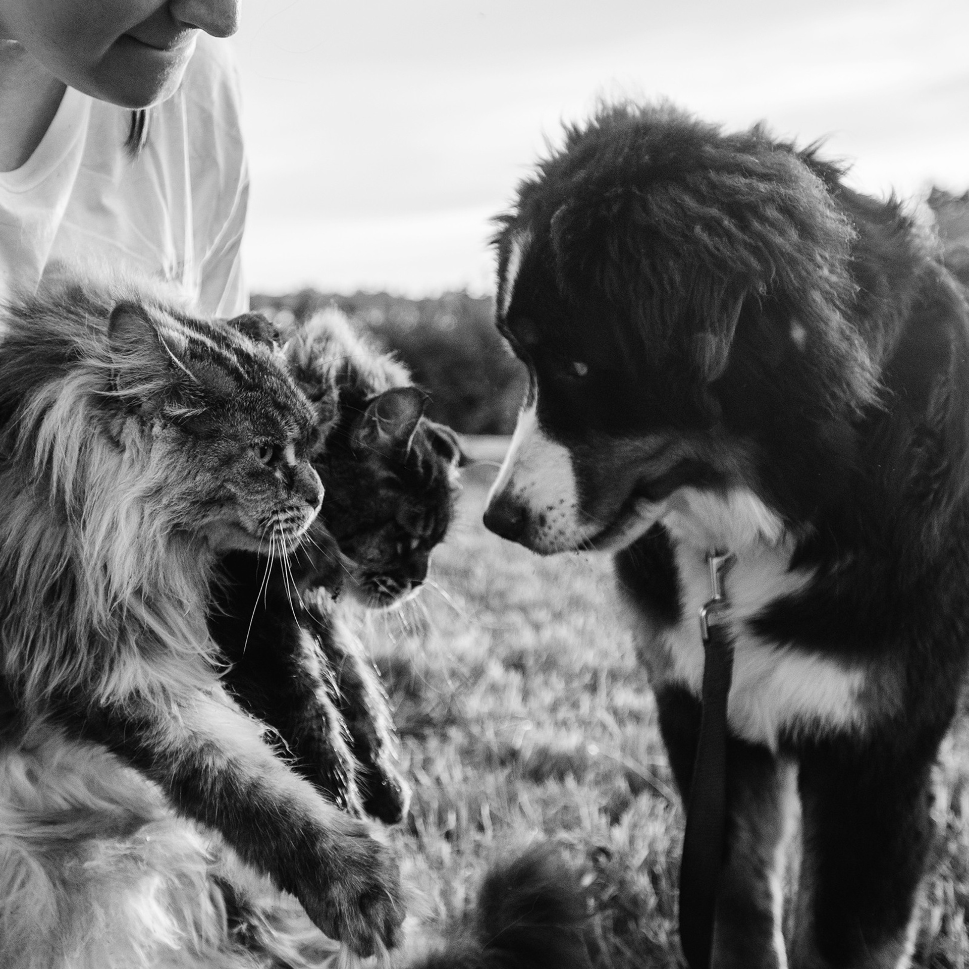 Оля и семья. Фотограф Анна Тюрина