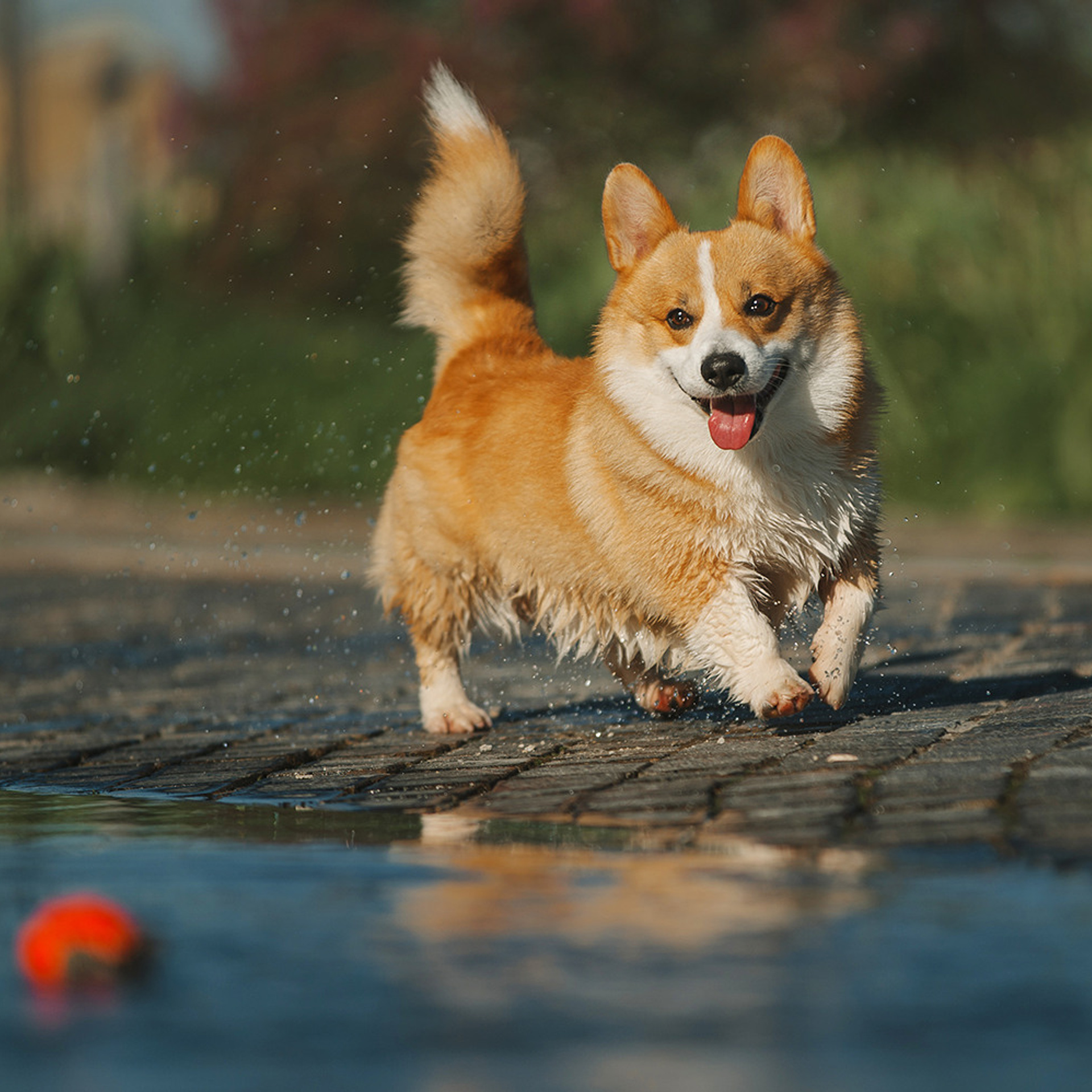 Тим, Ира и Тимур. Фотограф Анна Тюрина