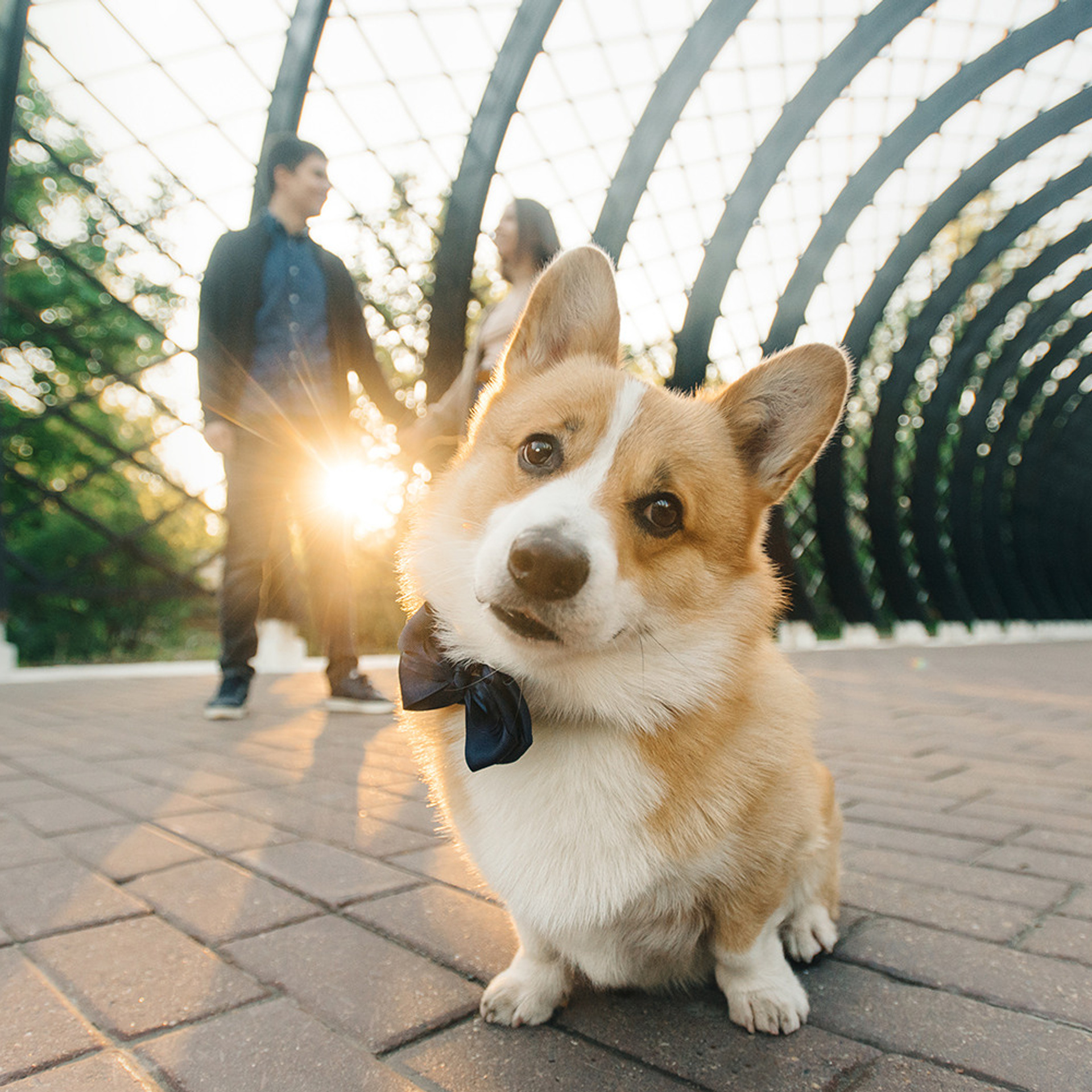 Тим, Ира и Тимур. Фотограф Анна Тюрина