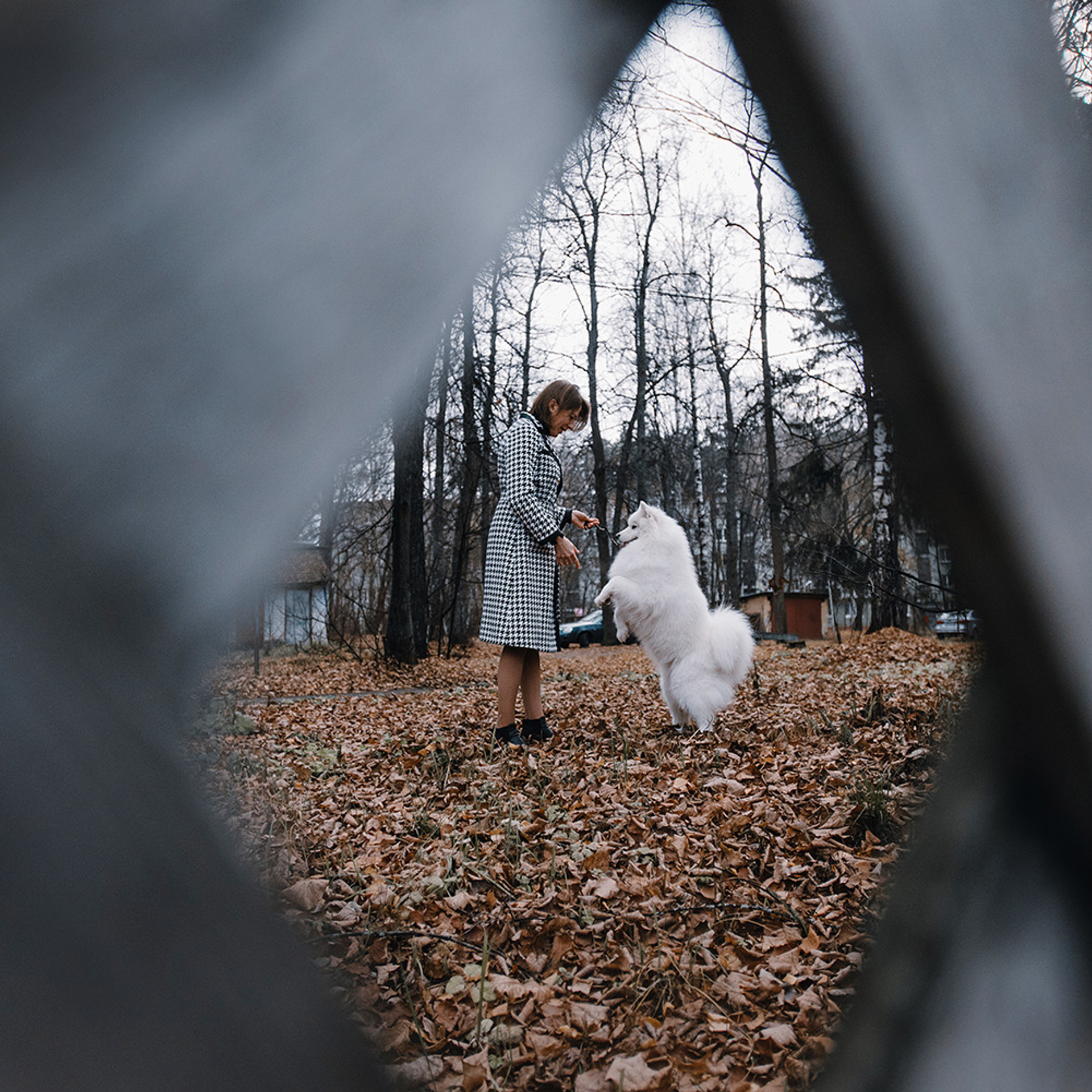 Елена и Эльза. Фотограф Анна Тюрина