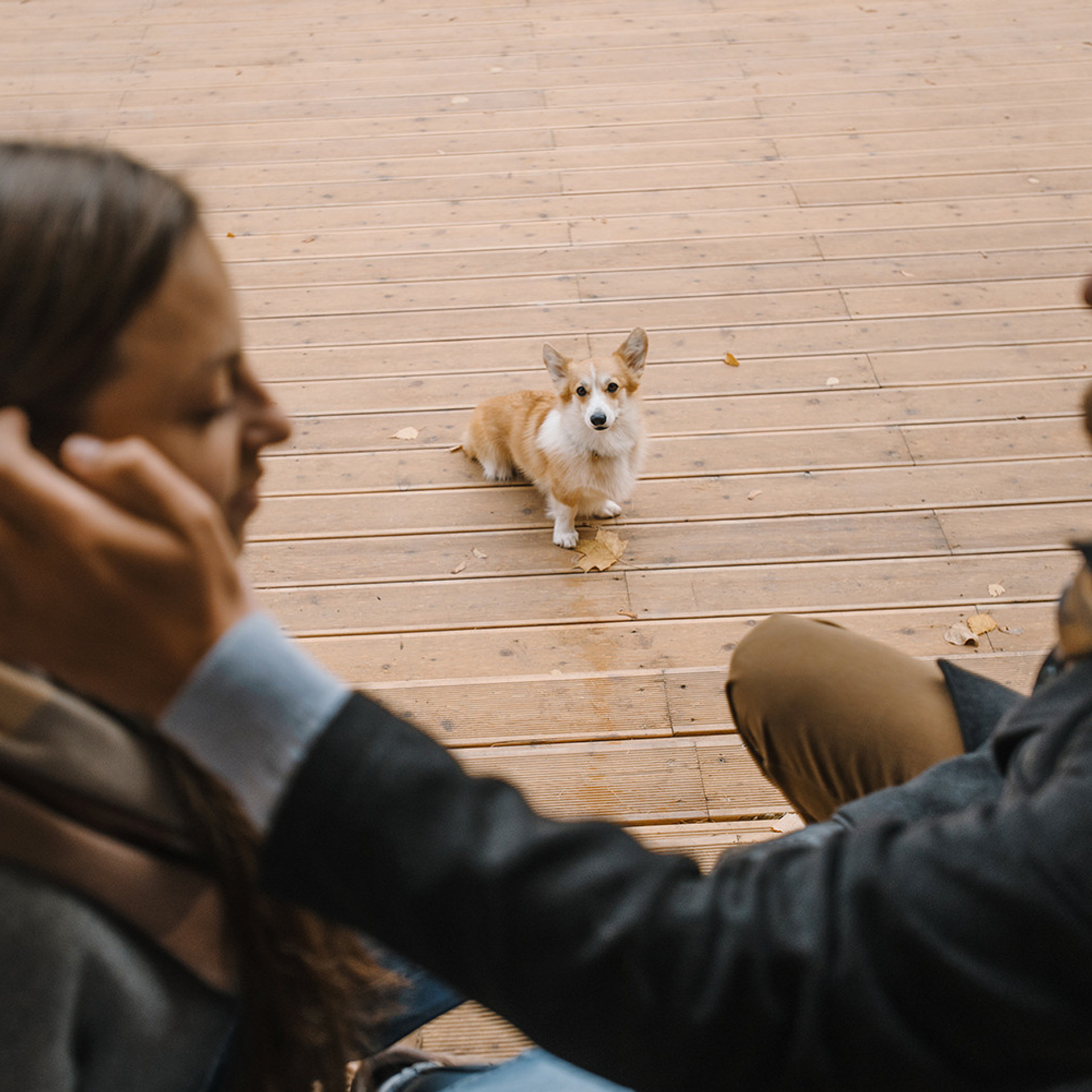 Катя, Саша и корги Люси. Фотограф Анна Тюрина