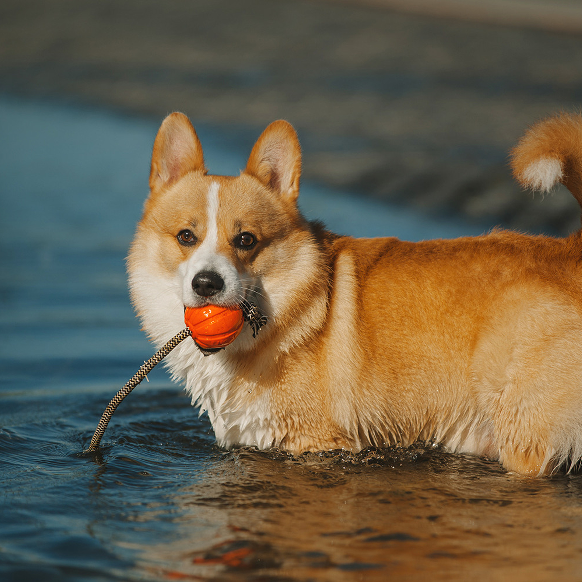 Тим, Ира и Тимур. Фотограф Анна Тюрина