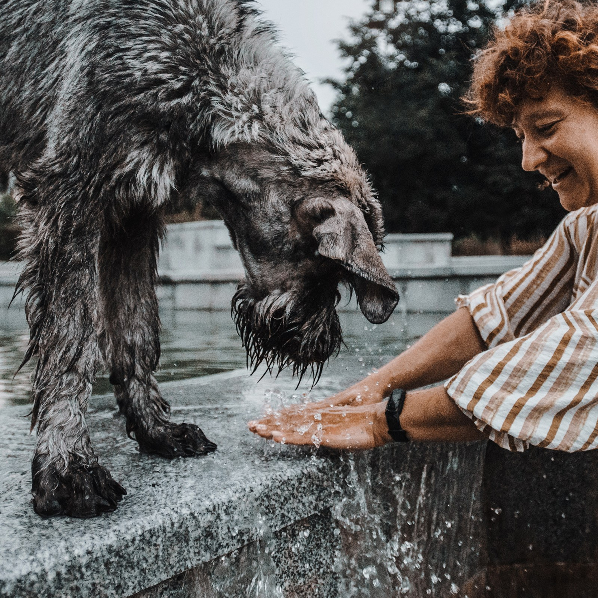 Человек и его друзья. Фотограф Анна Тюрина
