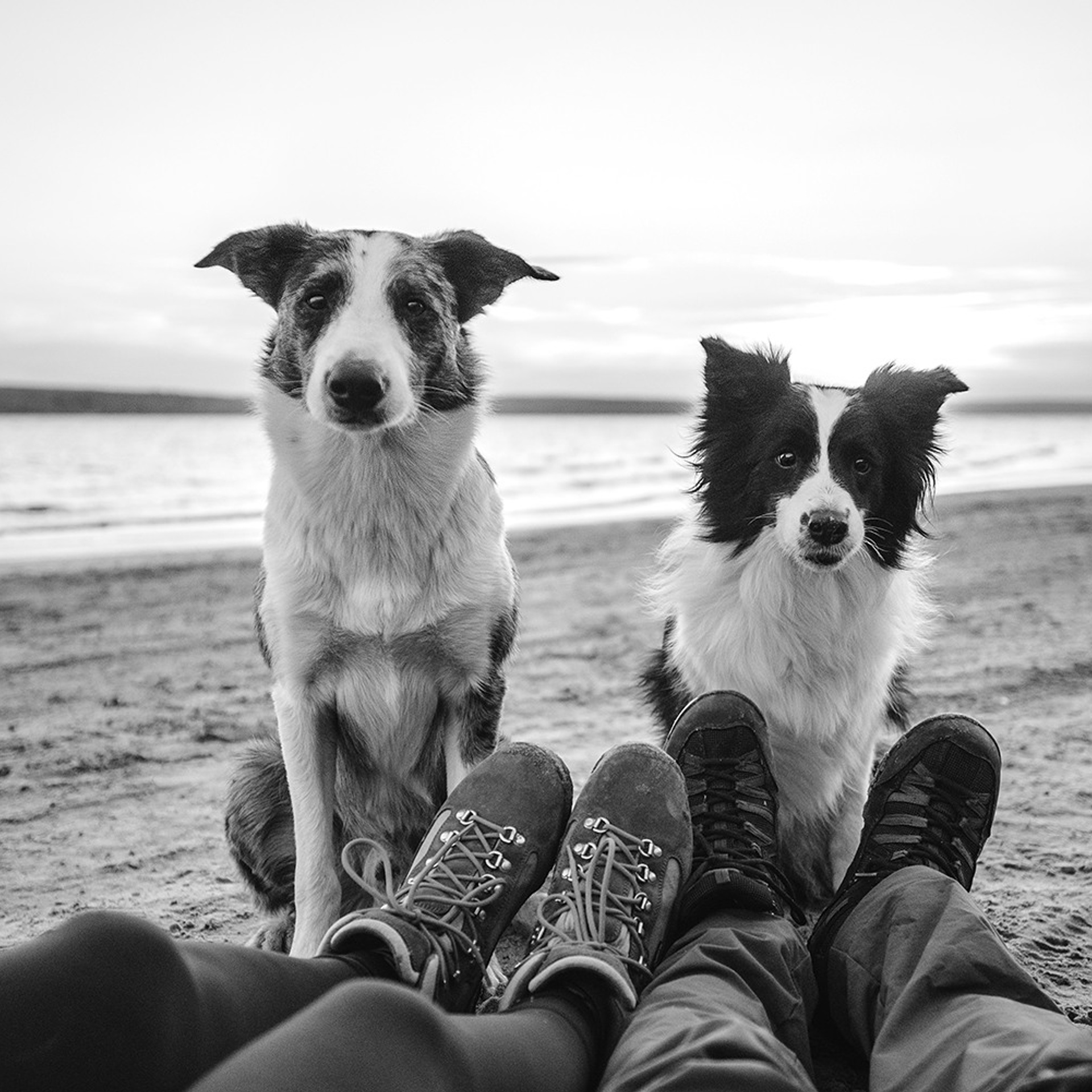 Сева, Даша, Аса, Кит. Фотограф Анна Тюрина