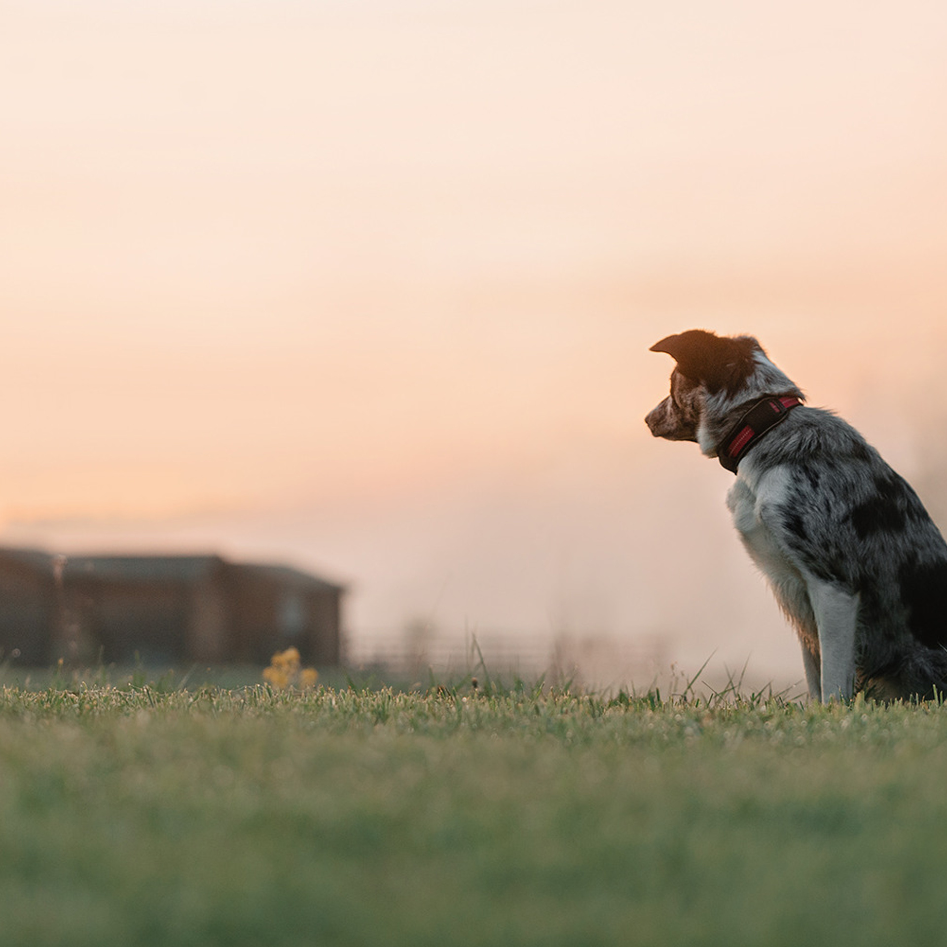 Наталья и Уран. Фотограф Анна Тюрина