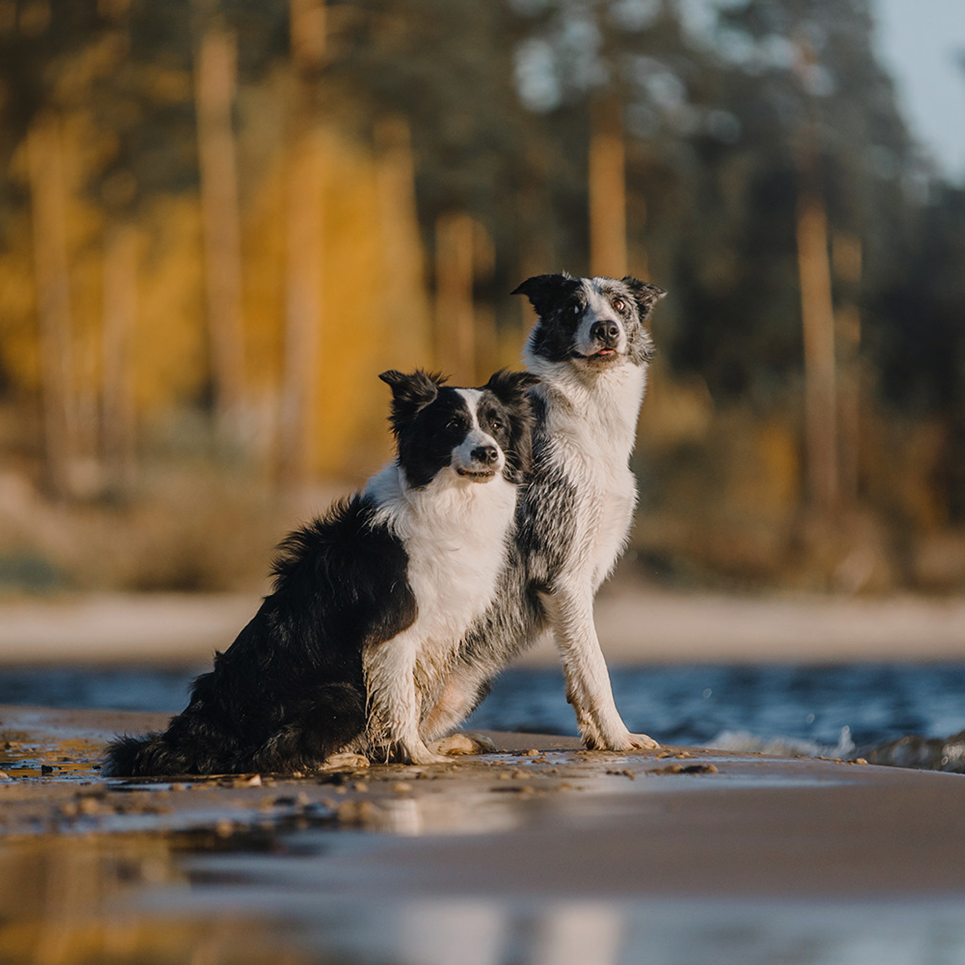 Сева, Даша, Аса, Кит. Фотограф Анна Тюрина