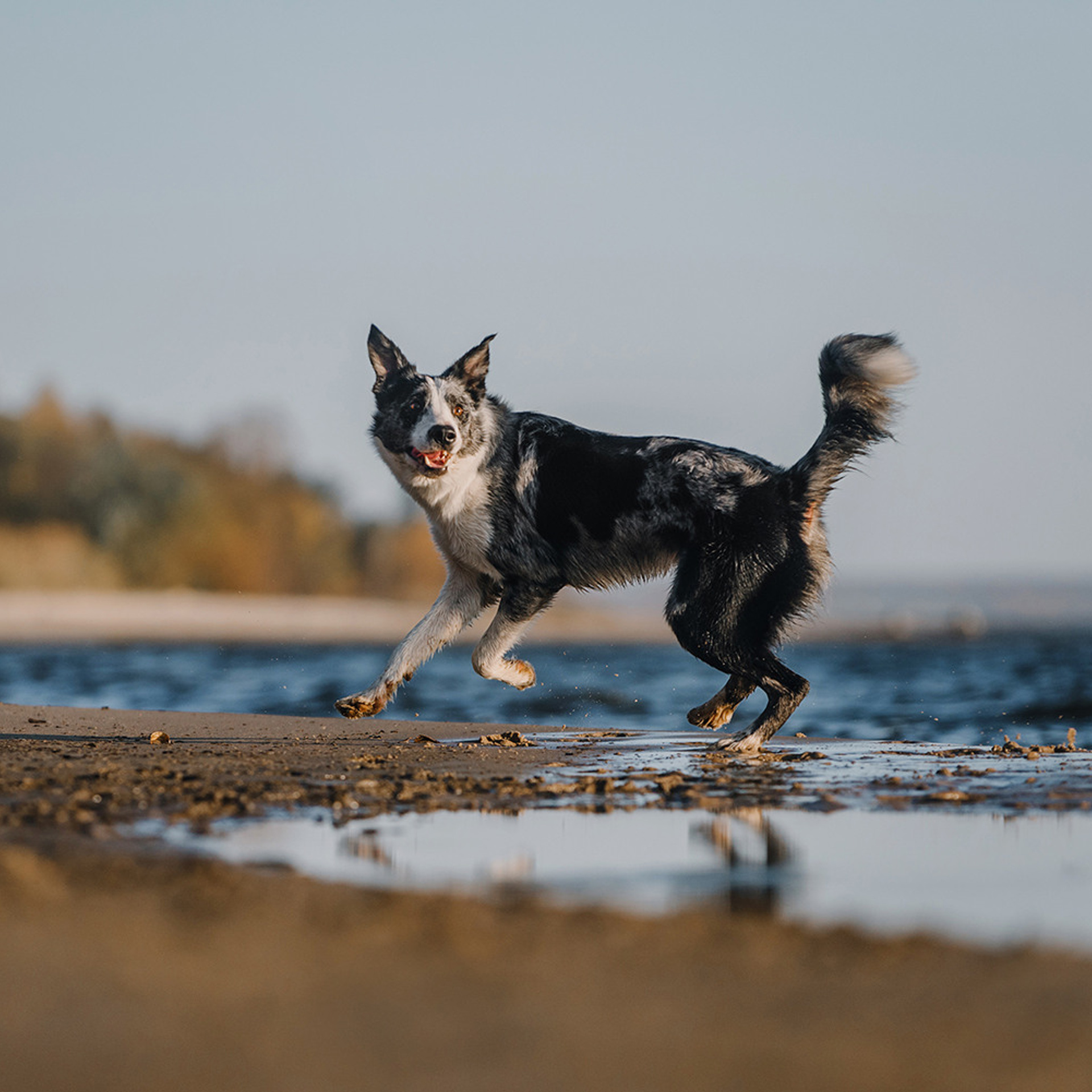 Сева, Даша, Аса, Кит. Фотограф Анна Тюрина