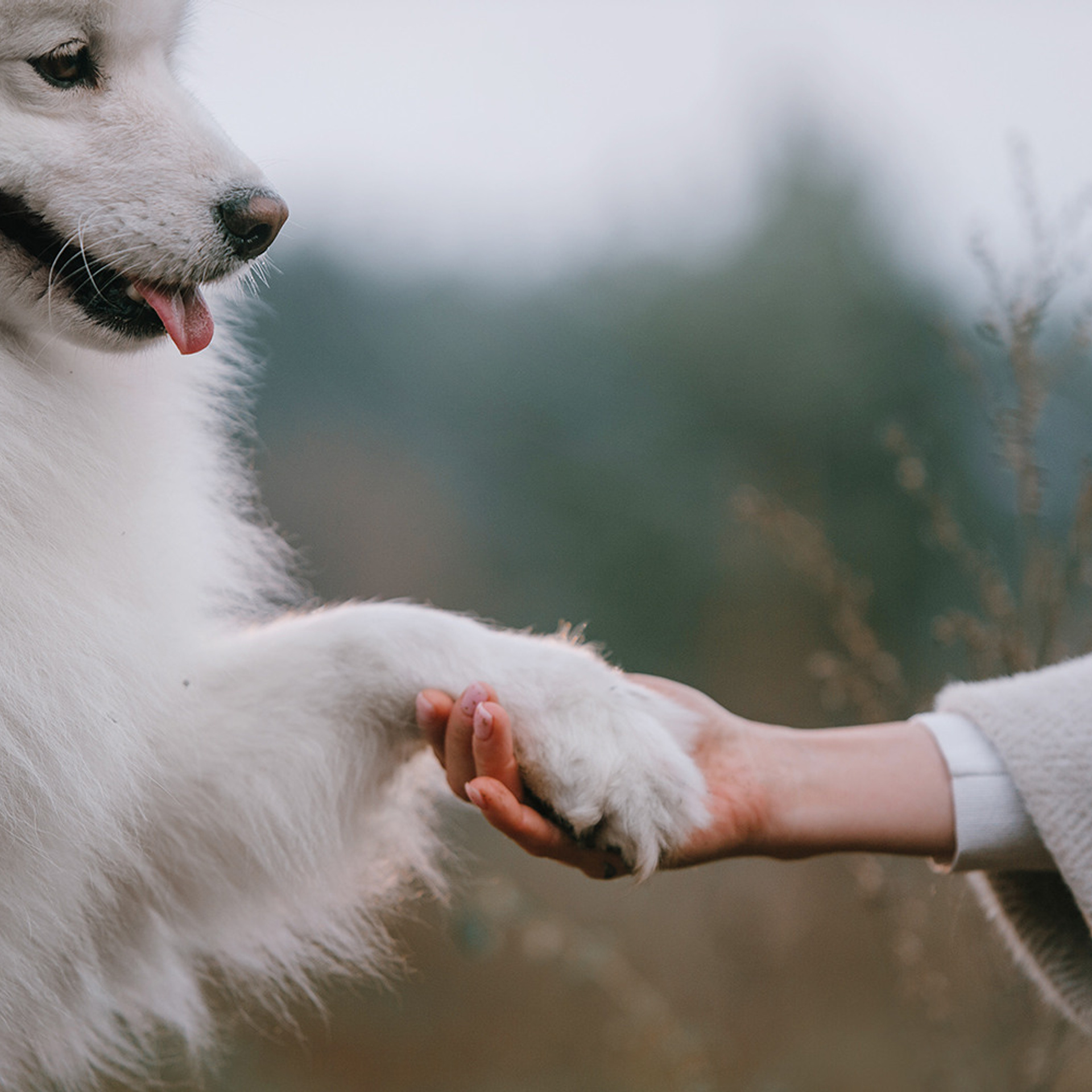 Елена и Эльза. Фотограф Анна Тюрина
