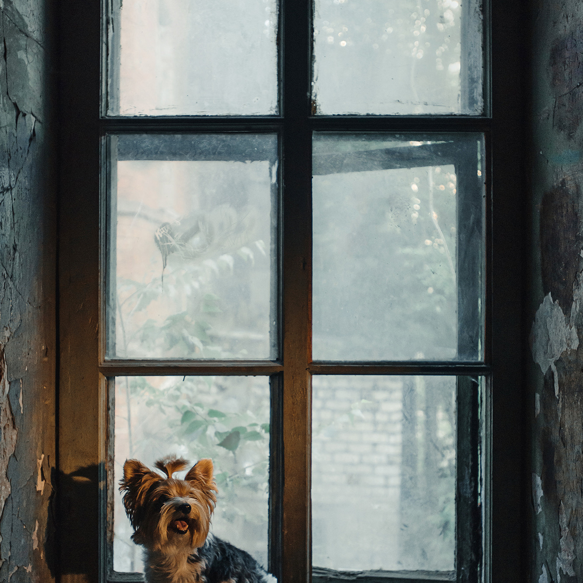 Алина и Яся. Фотограф Анна Тюрина