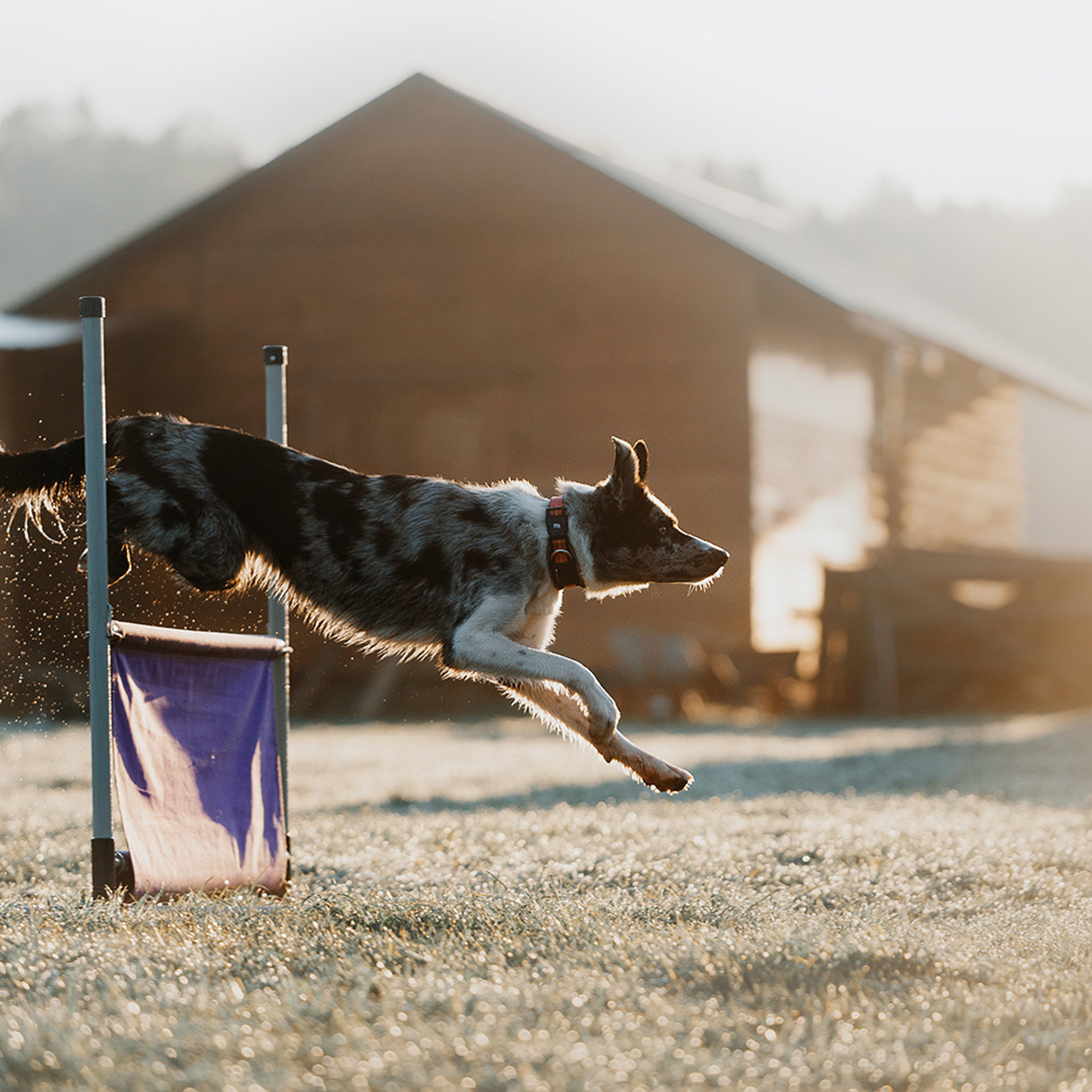 Наталья и Уран. Фотограф Анна Тюрина