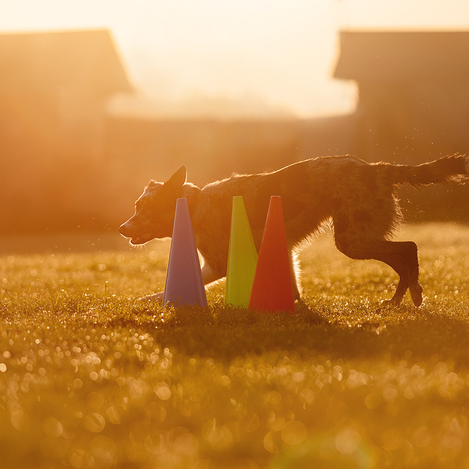 Наталья и Уран. Фотограф Анна Тюрина