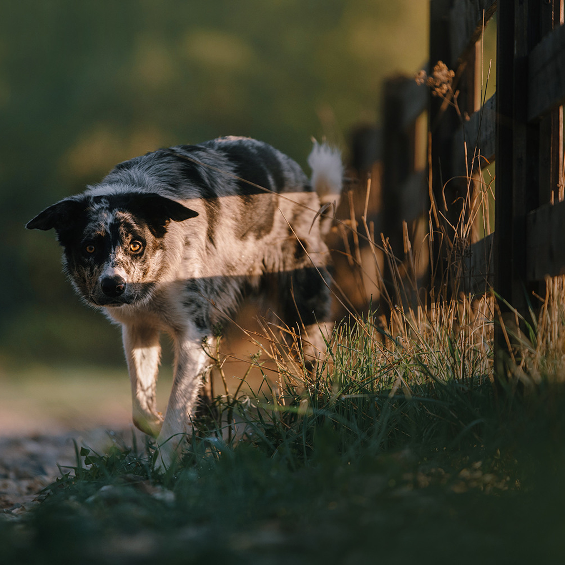 Наталья и Уран. Фотограф Анна Тюрина