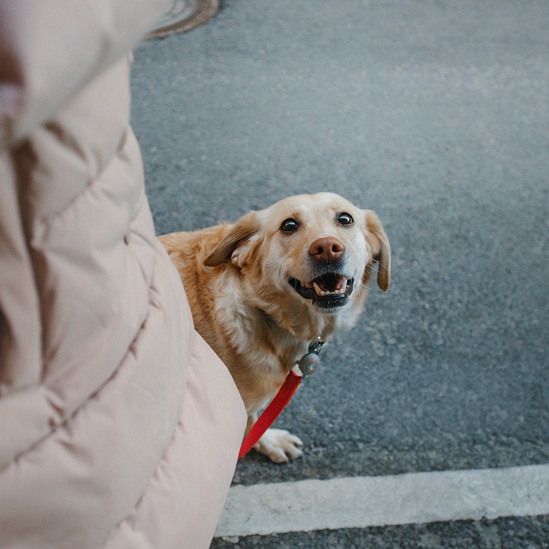 Катя и Фаня. Фотограф Анна Тюрина