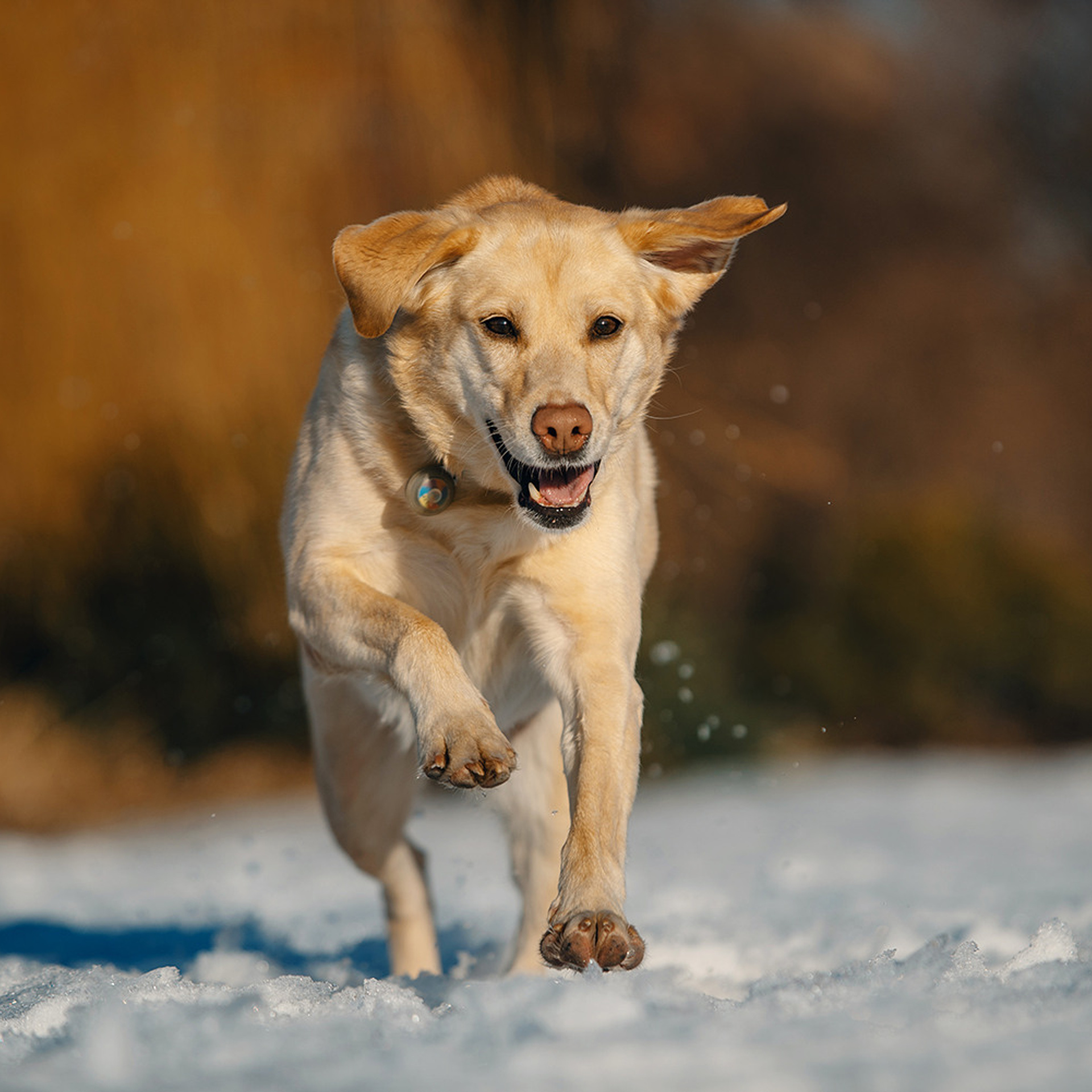 Катя и Фаня. Фотограф Анна Тюрина