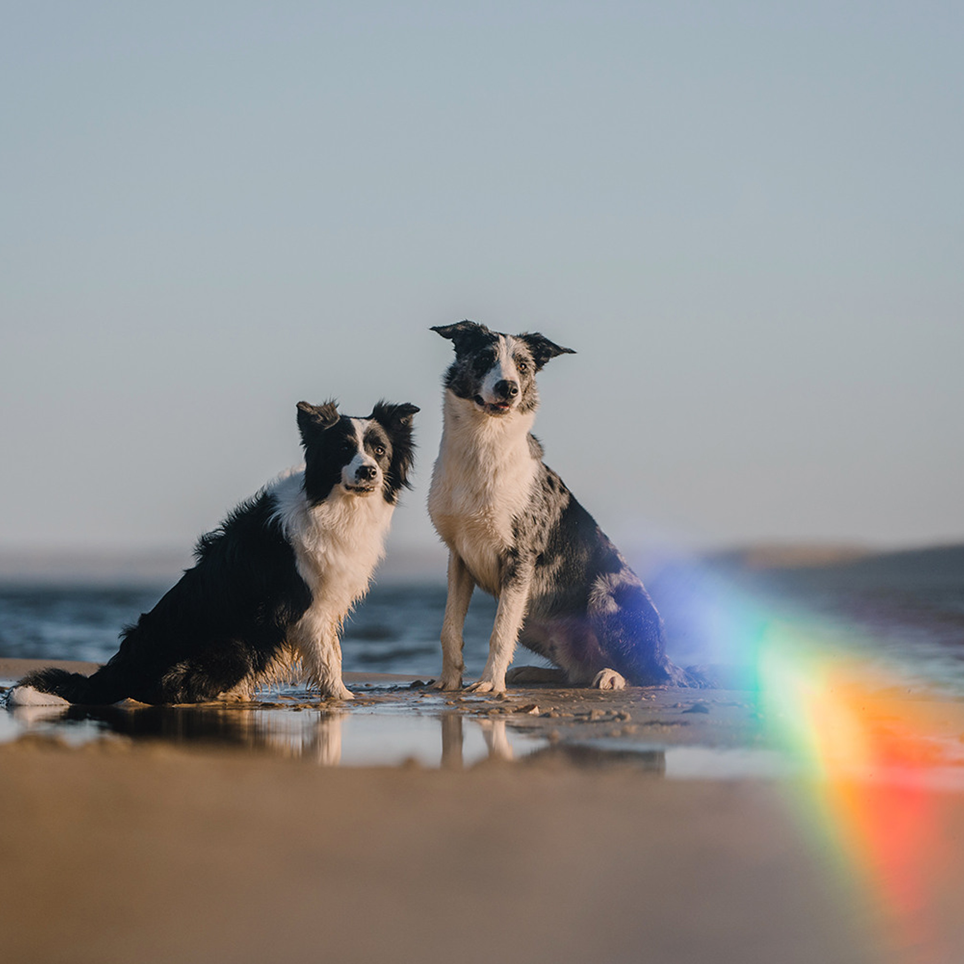 Сева, Даша, Аса, Кит. Фотограф Анна Тюрина