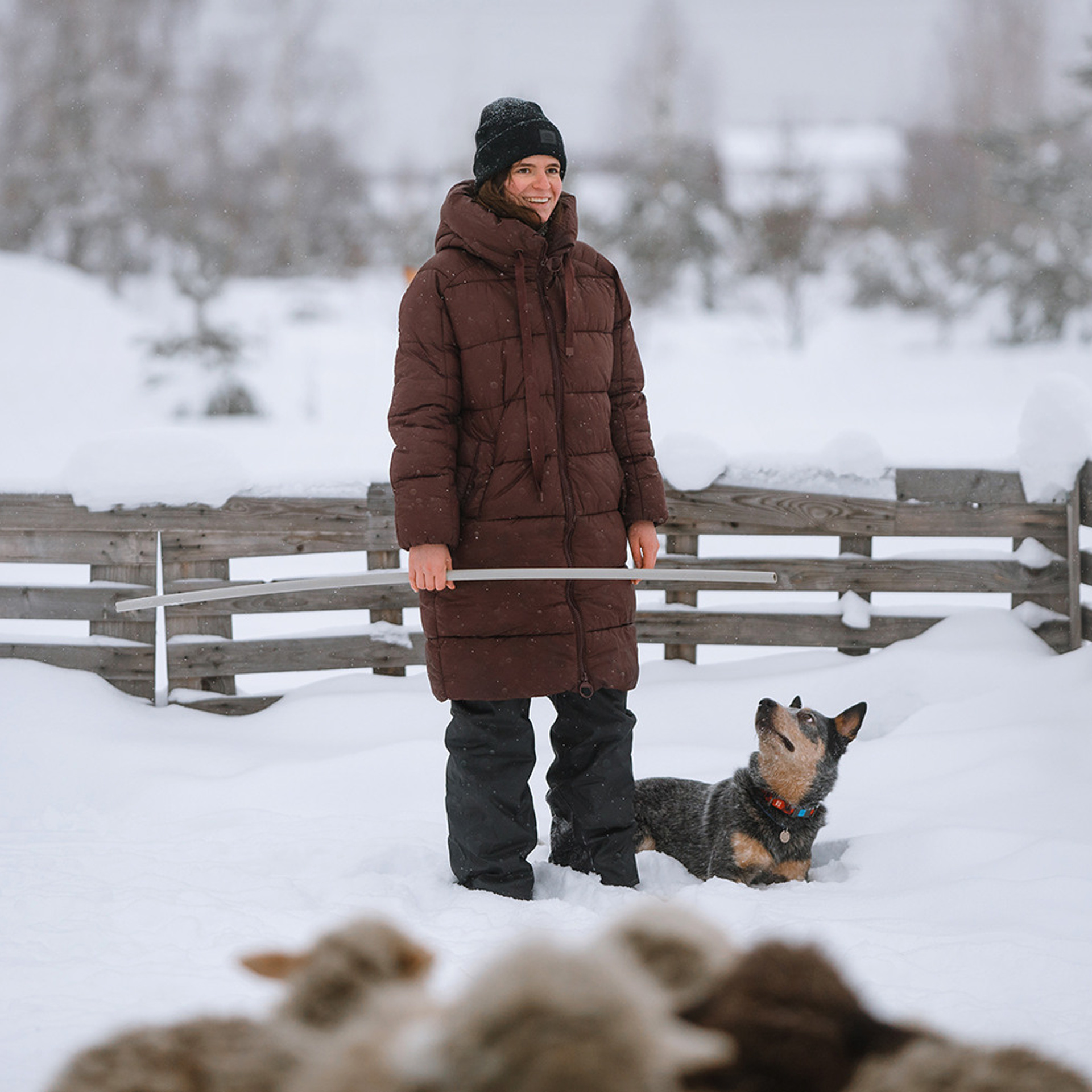 Маша и Дип пасут овец. Фотограф Анна Тюрина