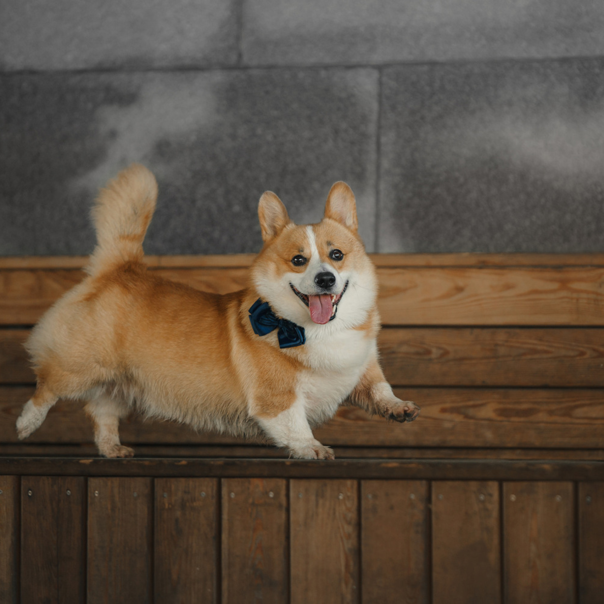 Тим, Ира и Тимур. Фотограф Анна Тюрина