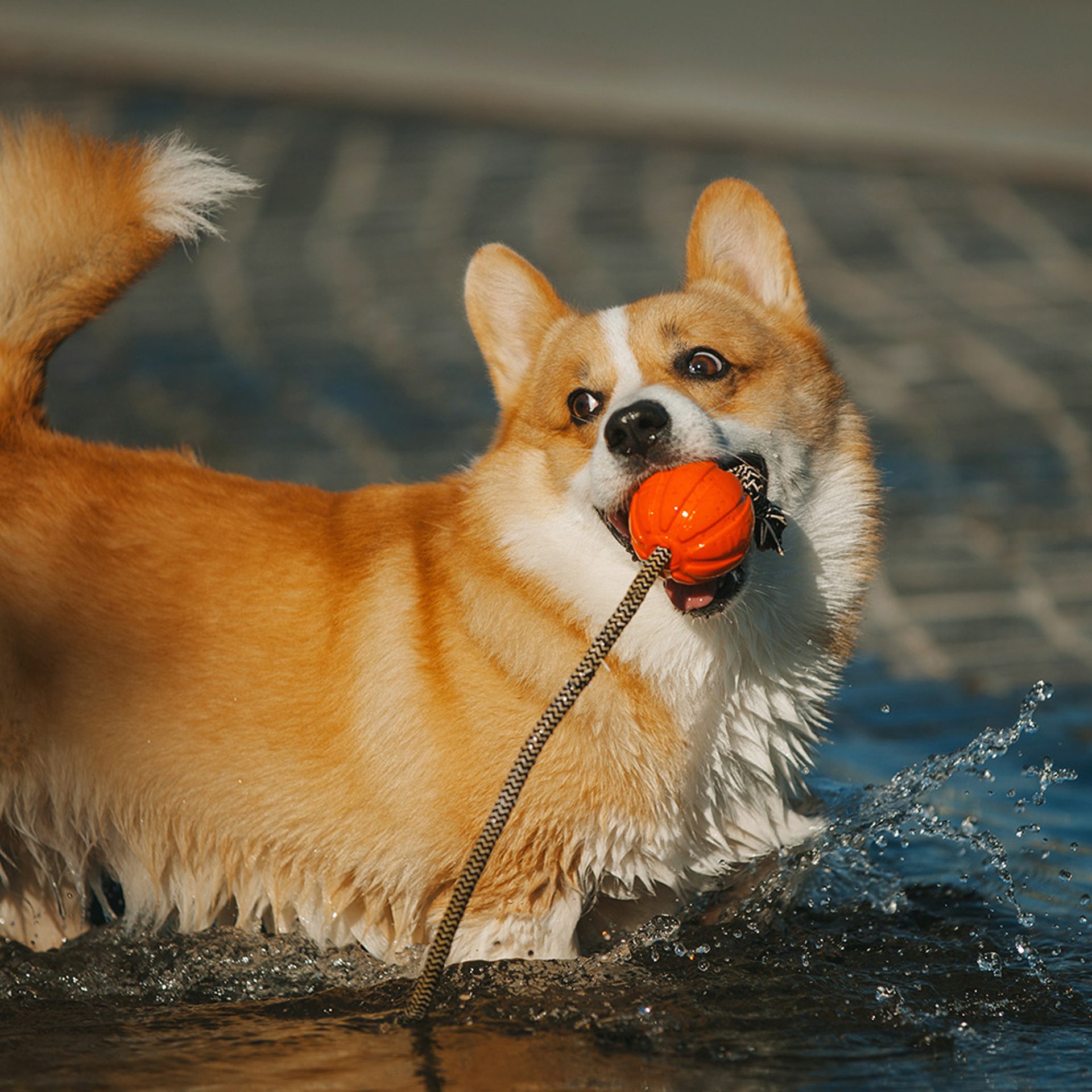 Тим, Ира и Тимур. Фотограф Анна Тюрина