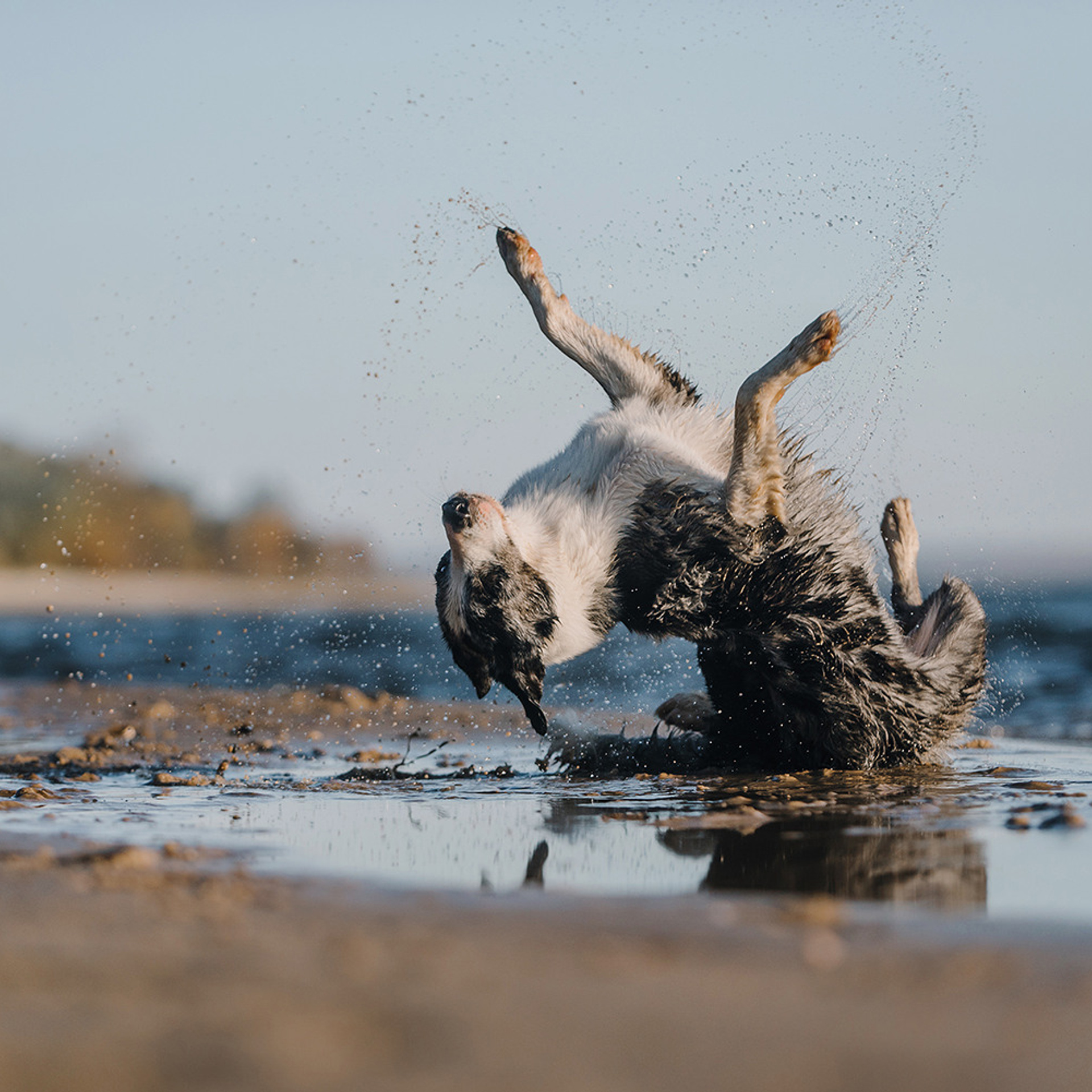 Сева, Даша, Аса, Кит. Фотограф Анна Тюрина