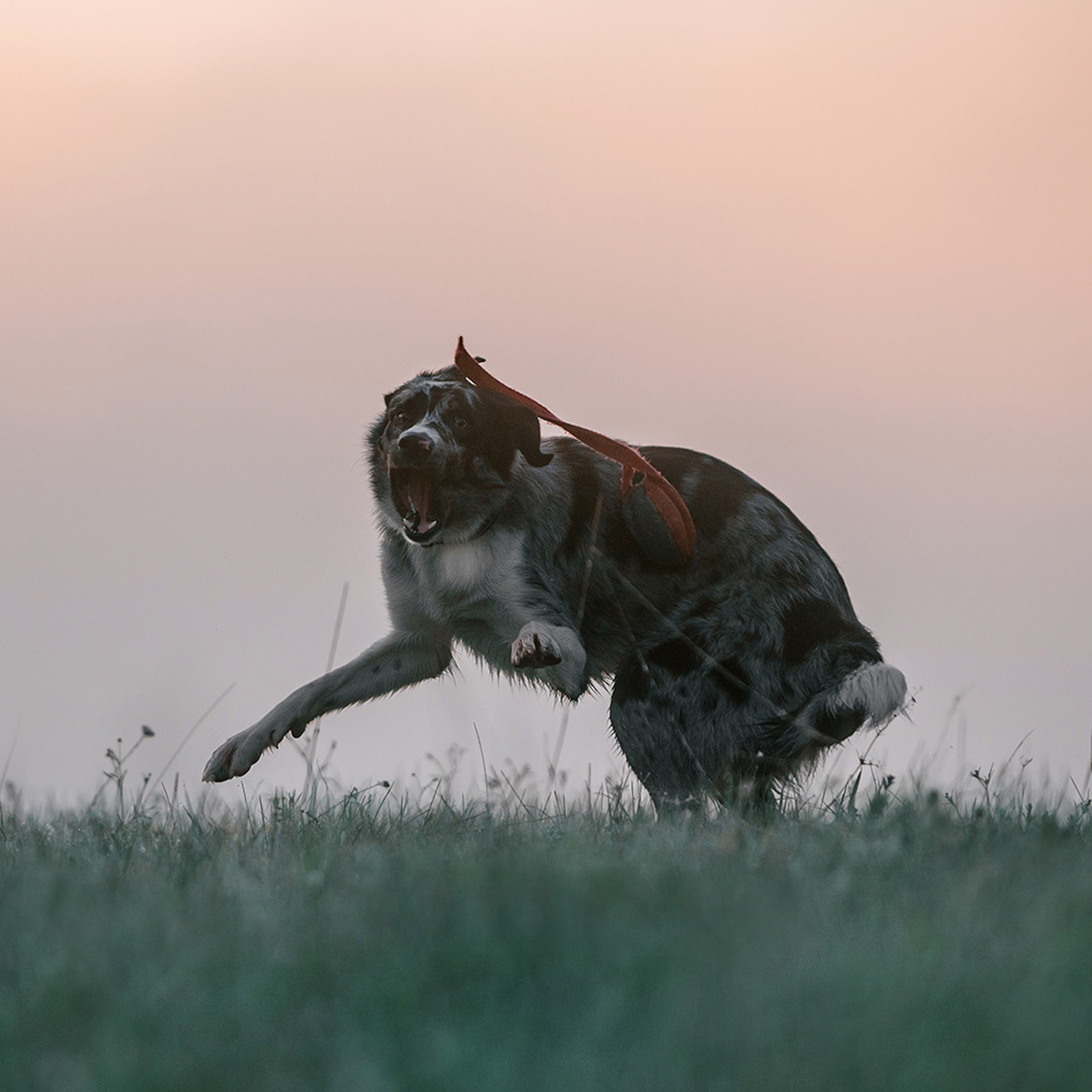 Наталья и Уран. Фотограф Анна Тюрина