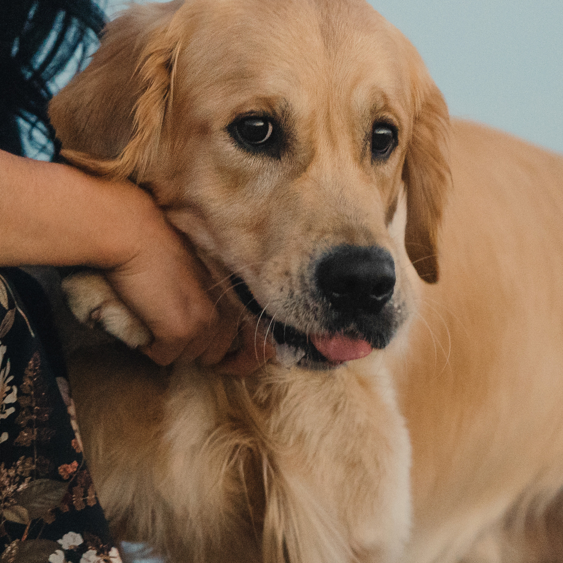 Светлана и Чарли. Фотограф Анна Тюрина