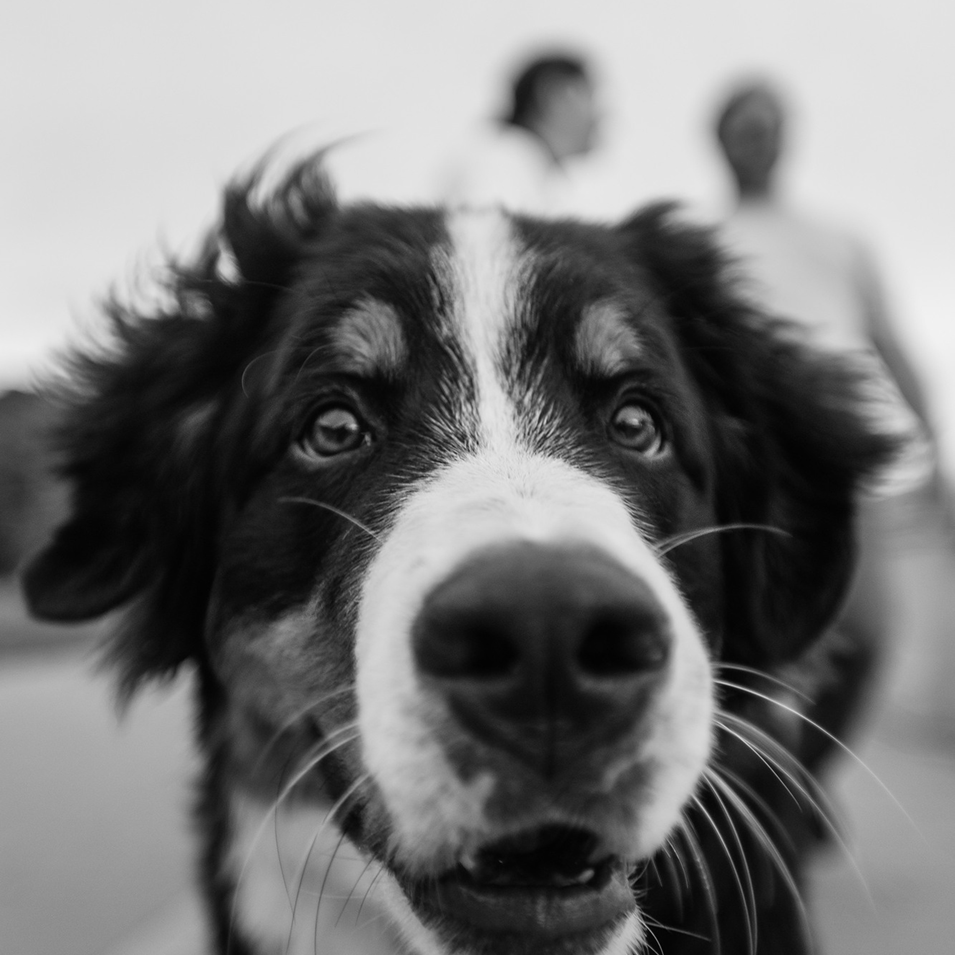 Оля и семья. Фотограф Анна Тюрина