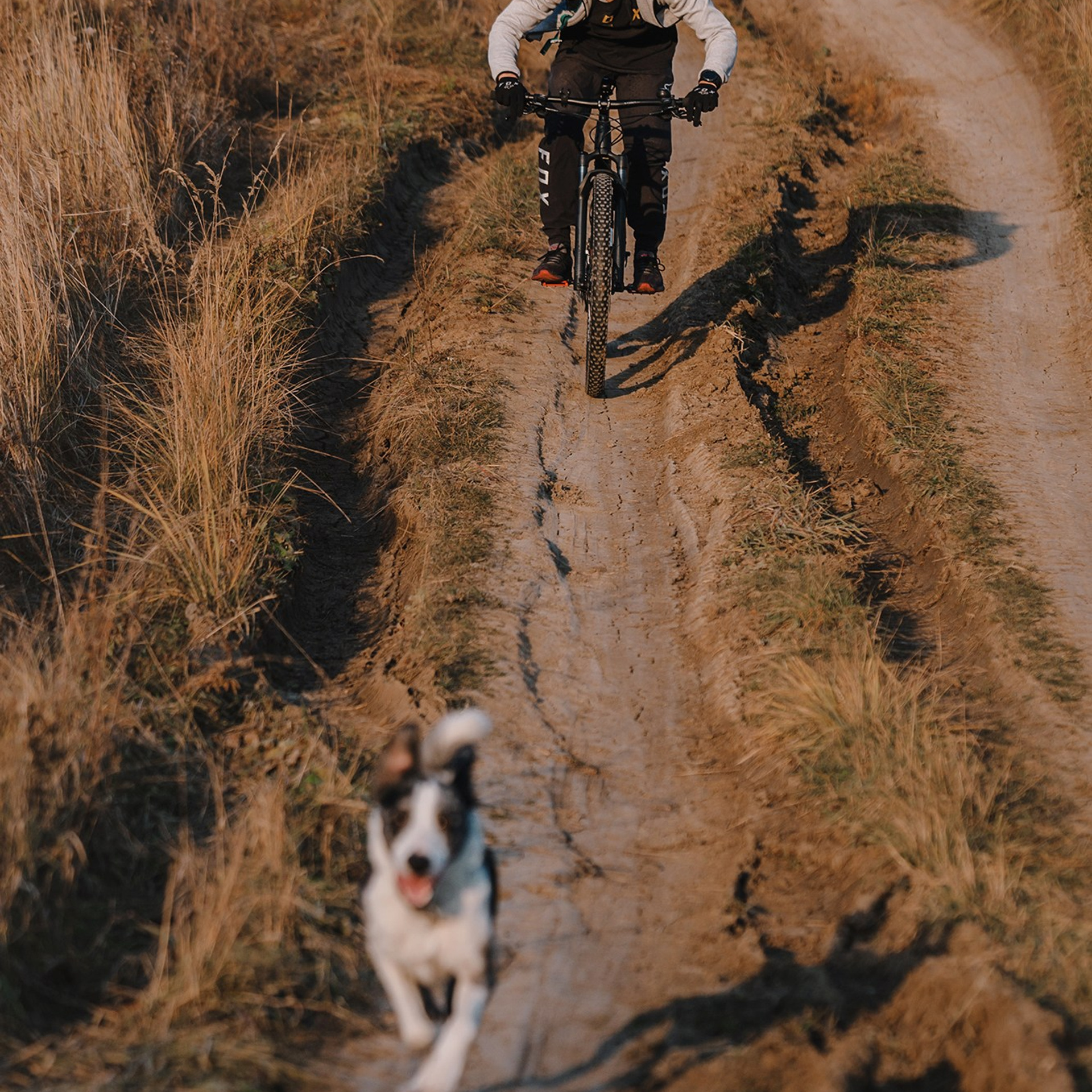 Человек и его друзья. Фотограф Анна Тюрина